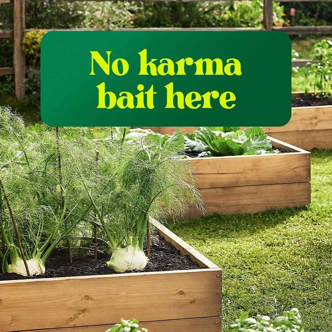 W659750_MiracleGro_LAUGCarousel1NoKarma1_1x1_SOCIAL_NA.jpg