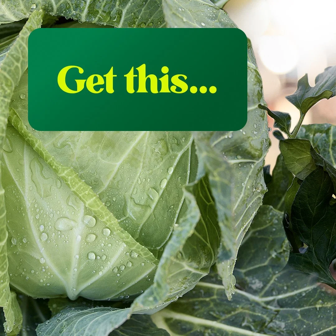 W659750_MiracleGro_JBCarouselReddit1GetThis1_1x1_SOCIAL_NA.jpg