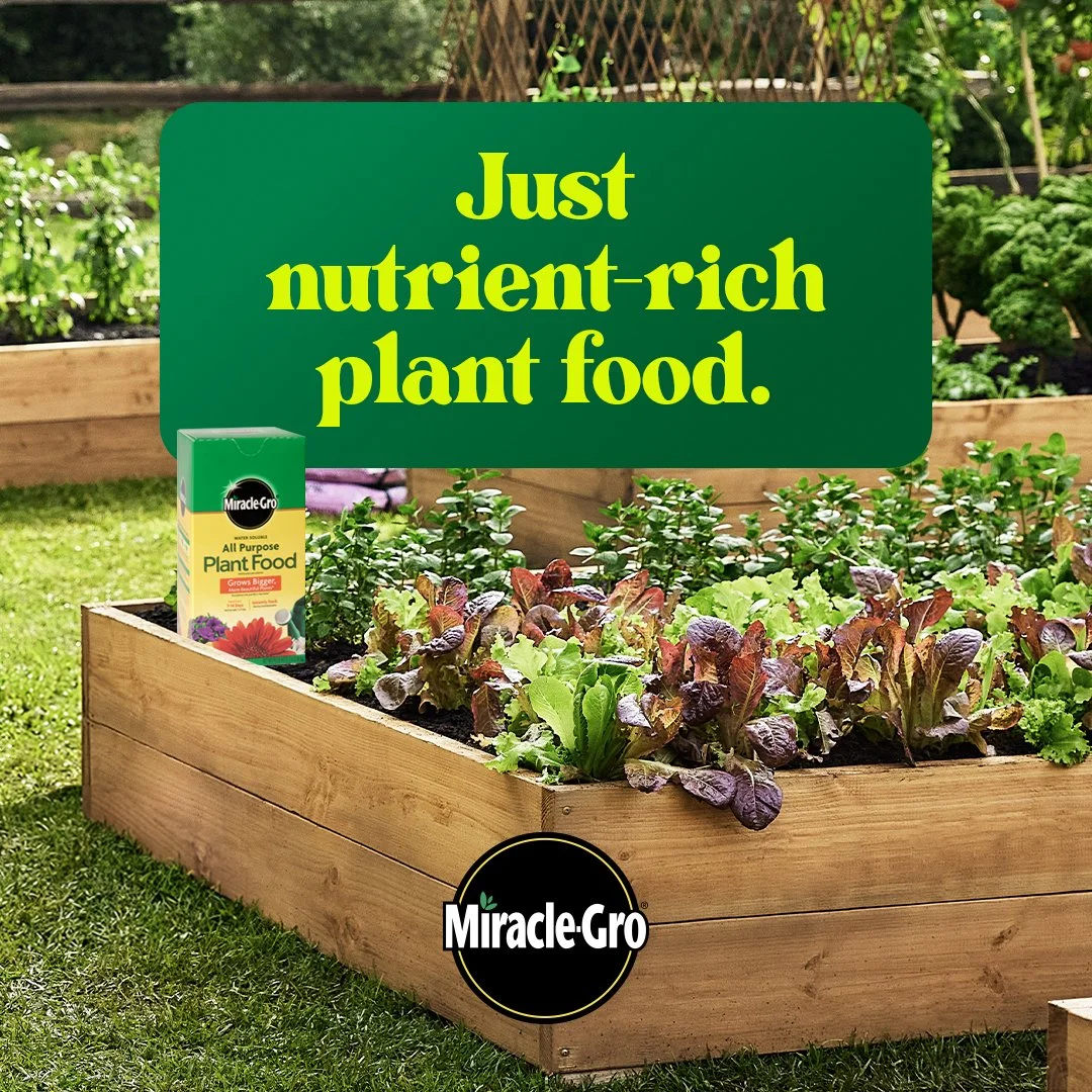 W659750_MiracleGro_LAUGCarousel2NoKarma2_1x1_SOCIAL_NA.jpg