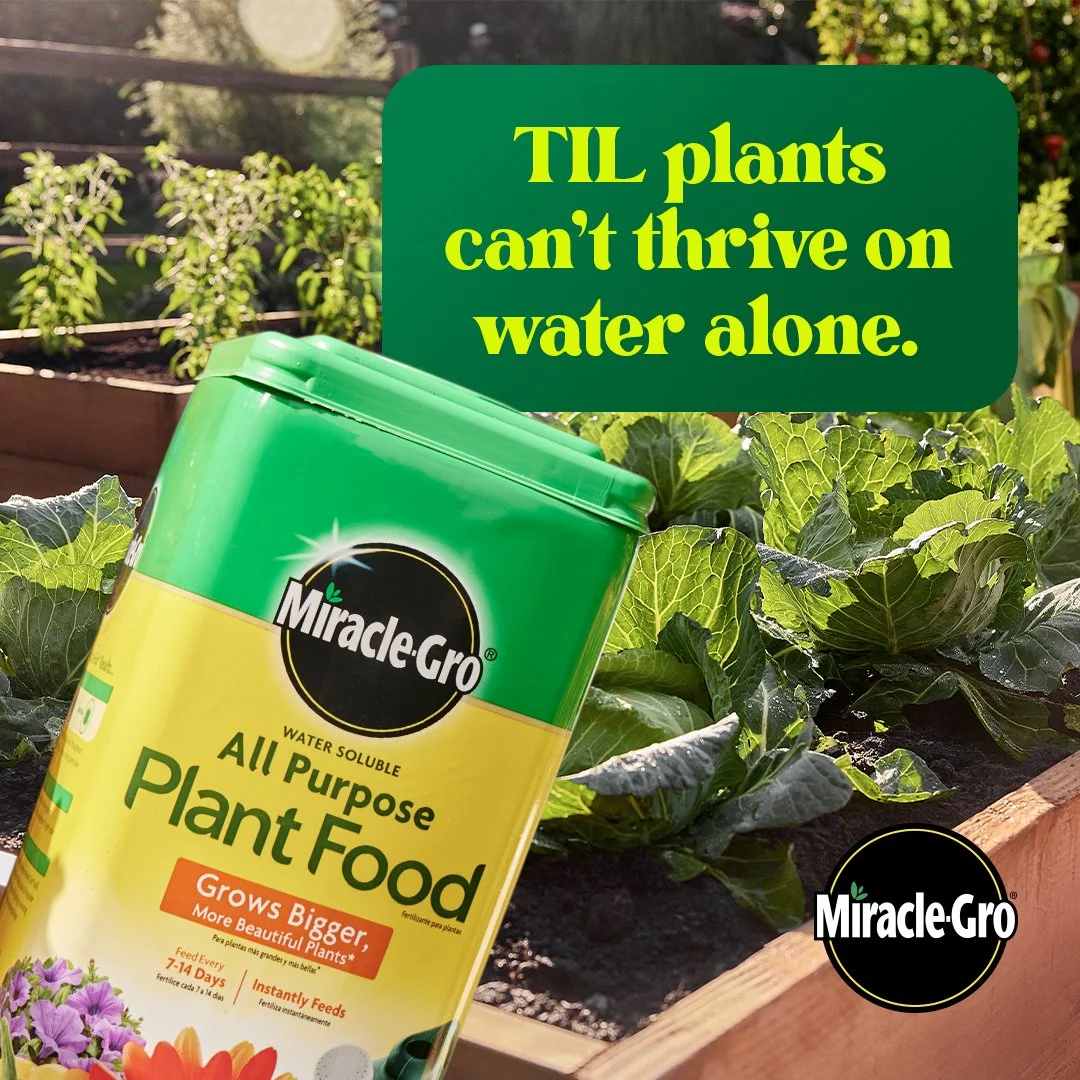 W659750_MiracleGro_LAUGStaticTIL_1x1_SOCIAL_NA.jpg
