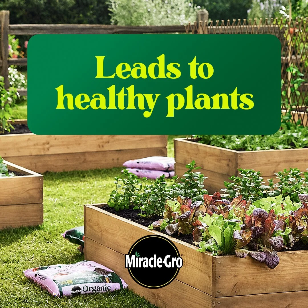 W659750_MiracleGro_JBCarousel2HealthyDirt2_1x1_SOCIAL_NA.jpg