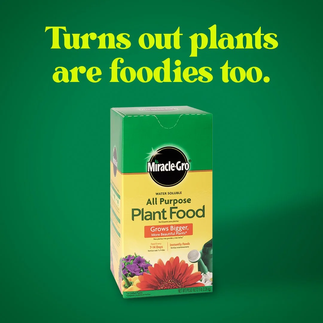 W659750_MiracleGro_JLUStatic2PlantFoodies_1x1_SOCIAL_NA.jpg
