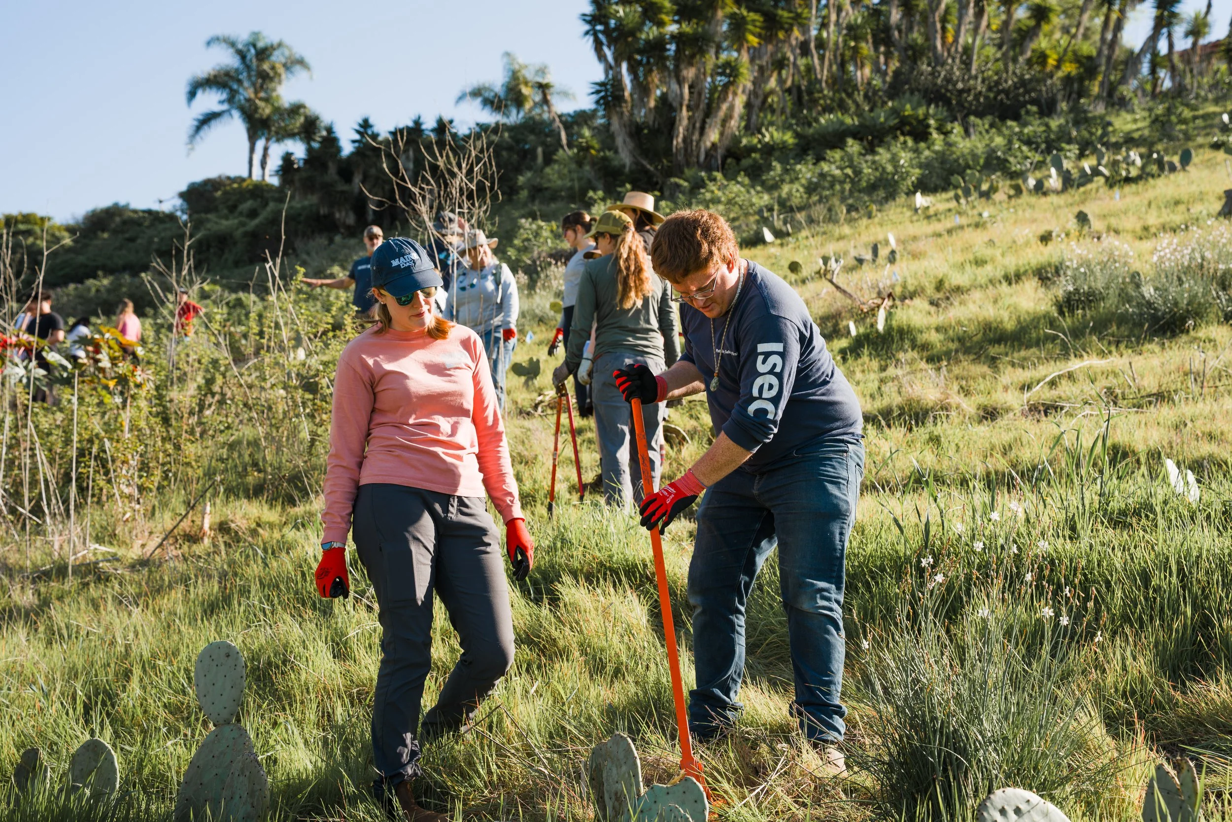 Become a CEC Climate Steward