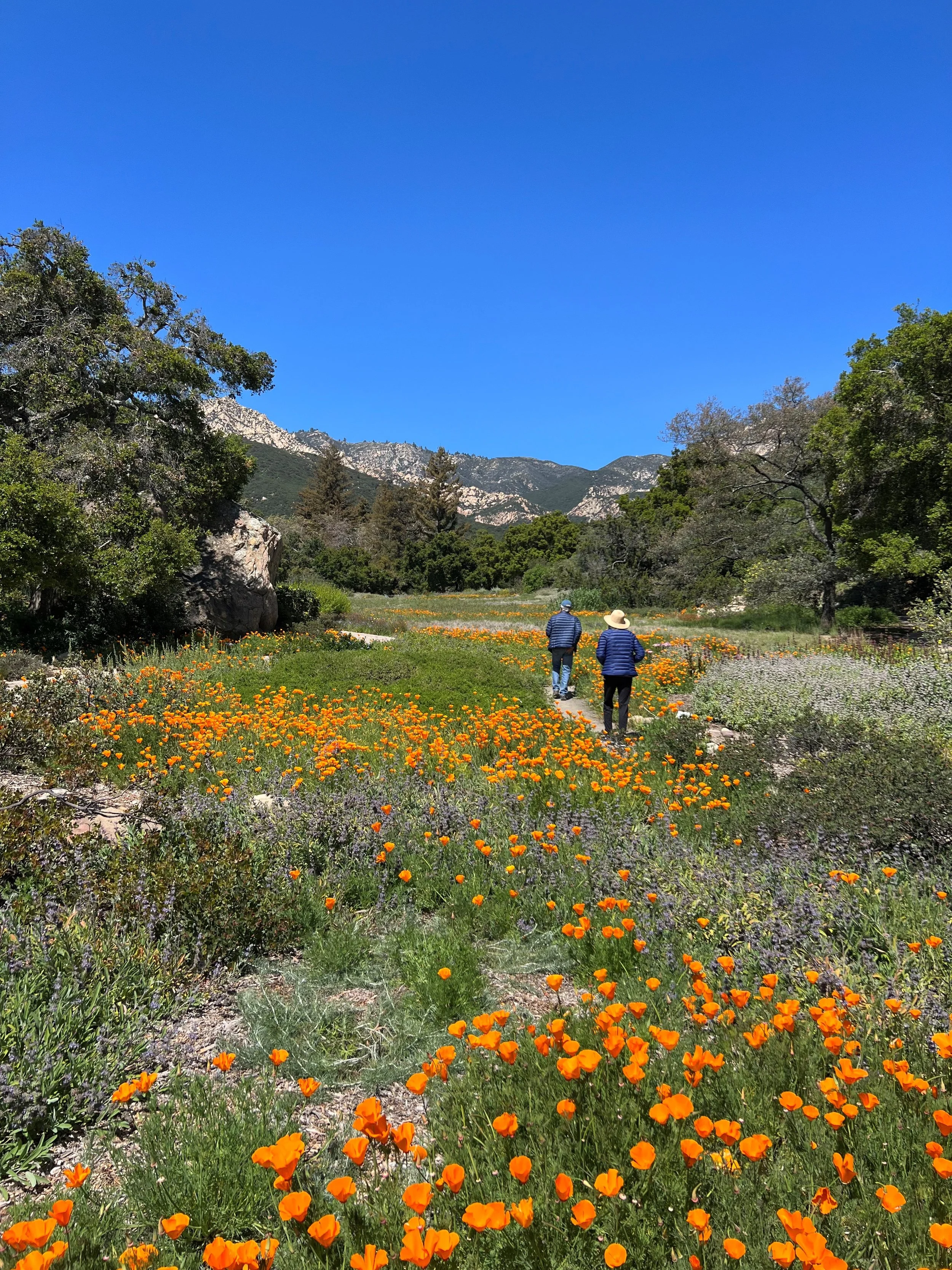 First Thursday with CEC and Santa Barbara Botanic Garden