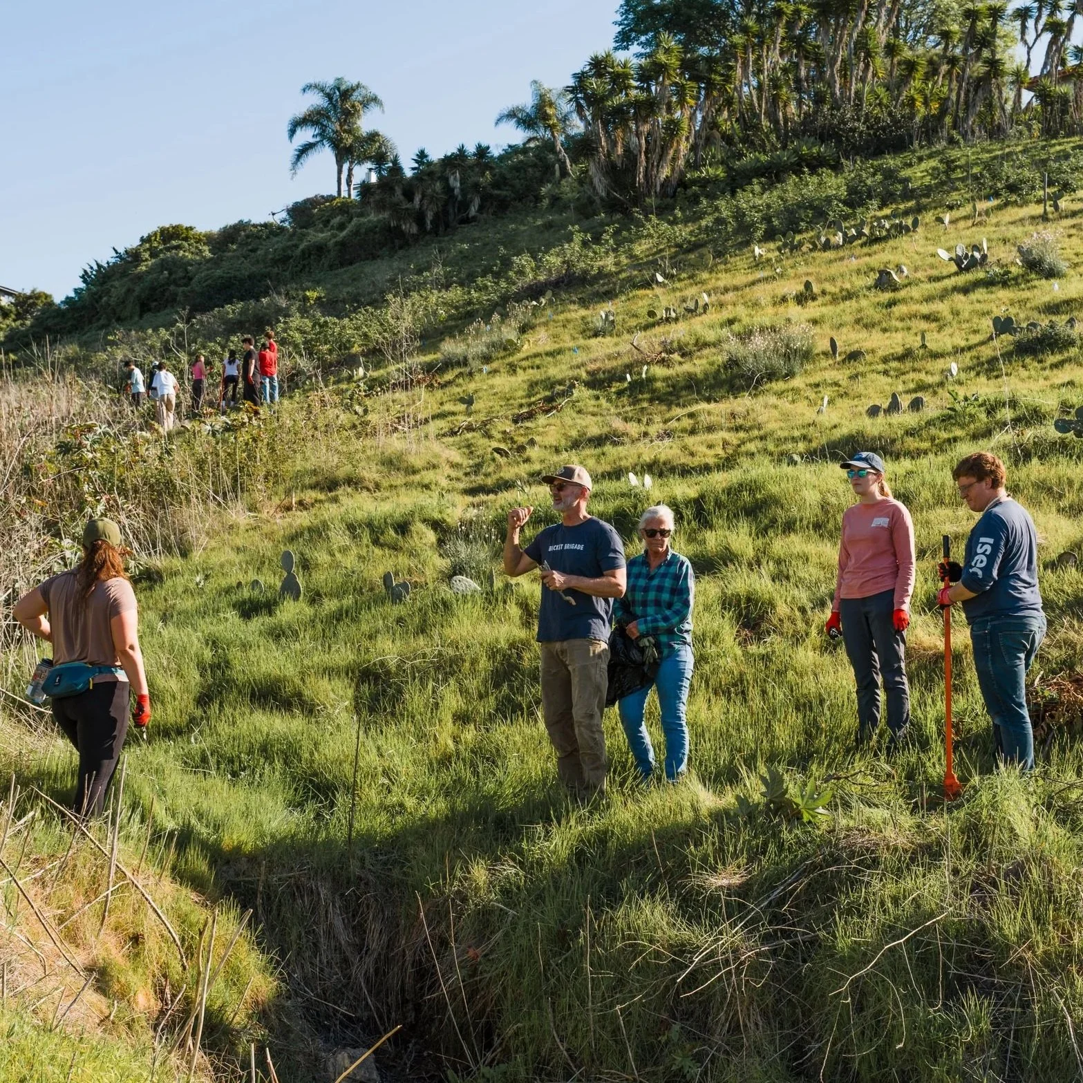 Become a CEC Climate Steward 