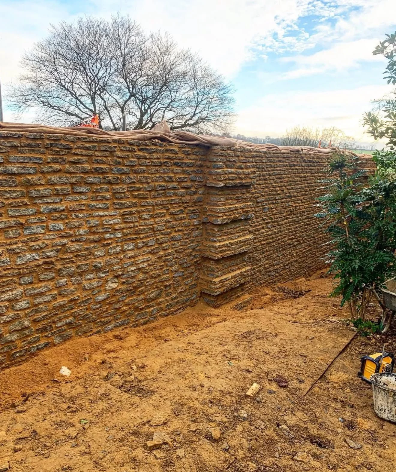 A brick wall under construction with a clear sky and leafless trees in the background. There's a young shrub on the right and tools on the ground.