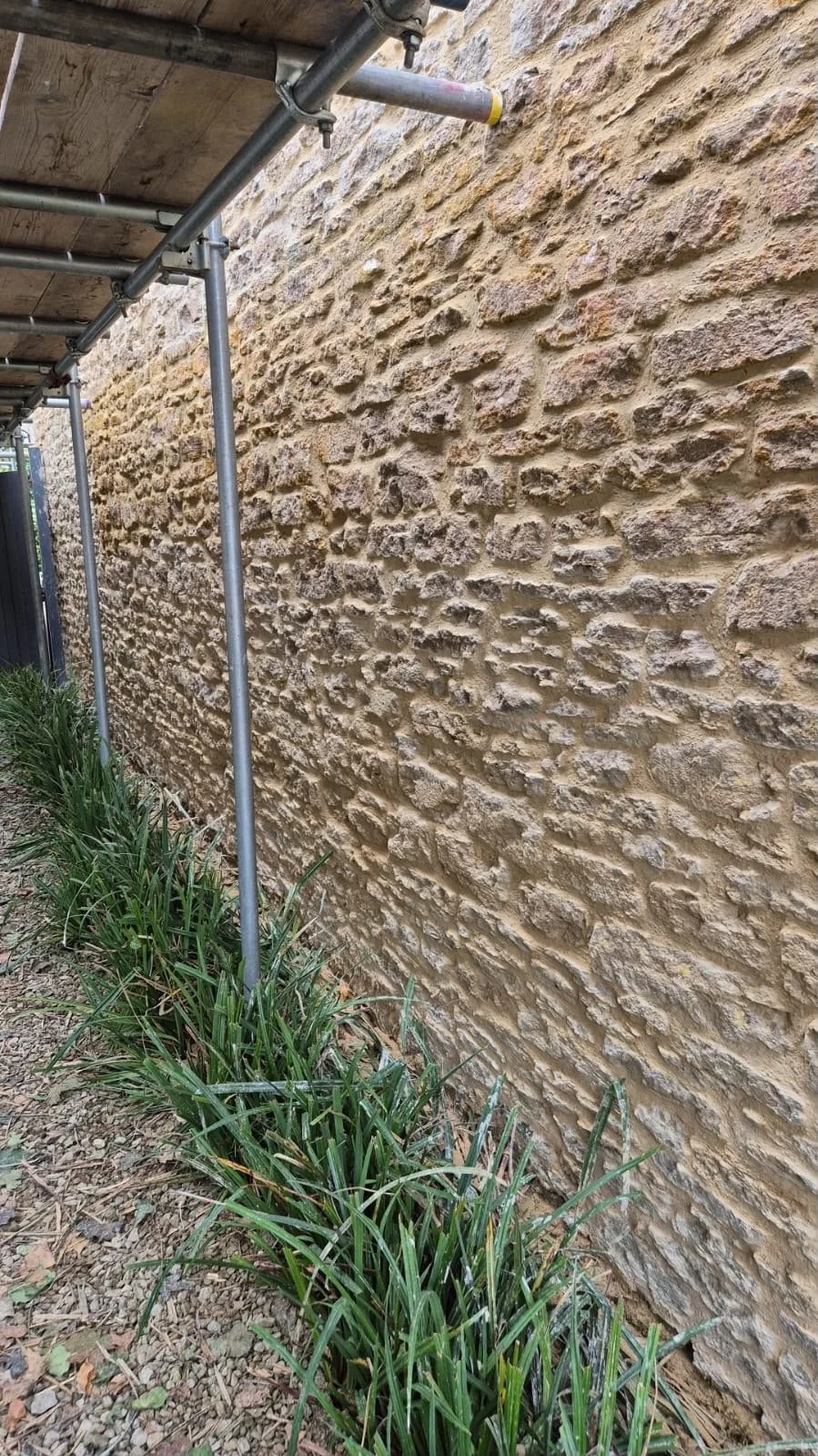 A stone wall under scaffolding with green plants growing at its base.
