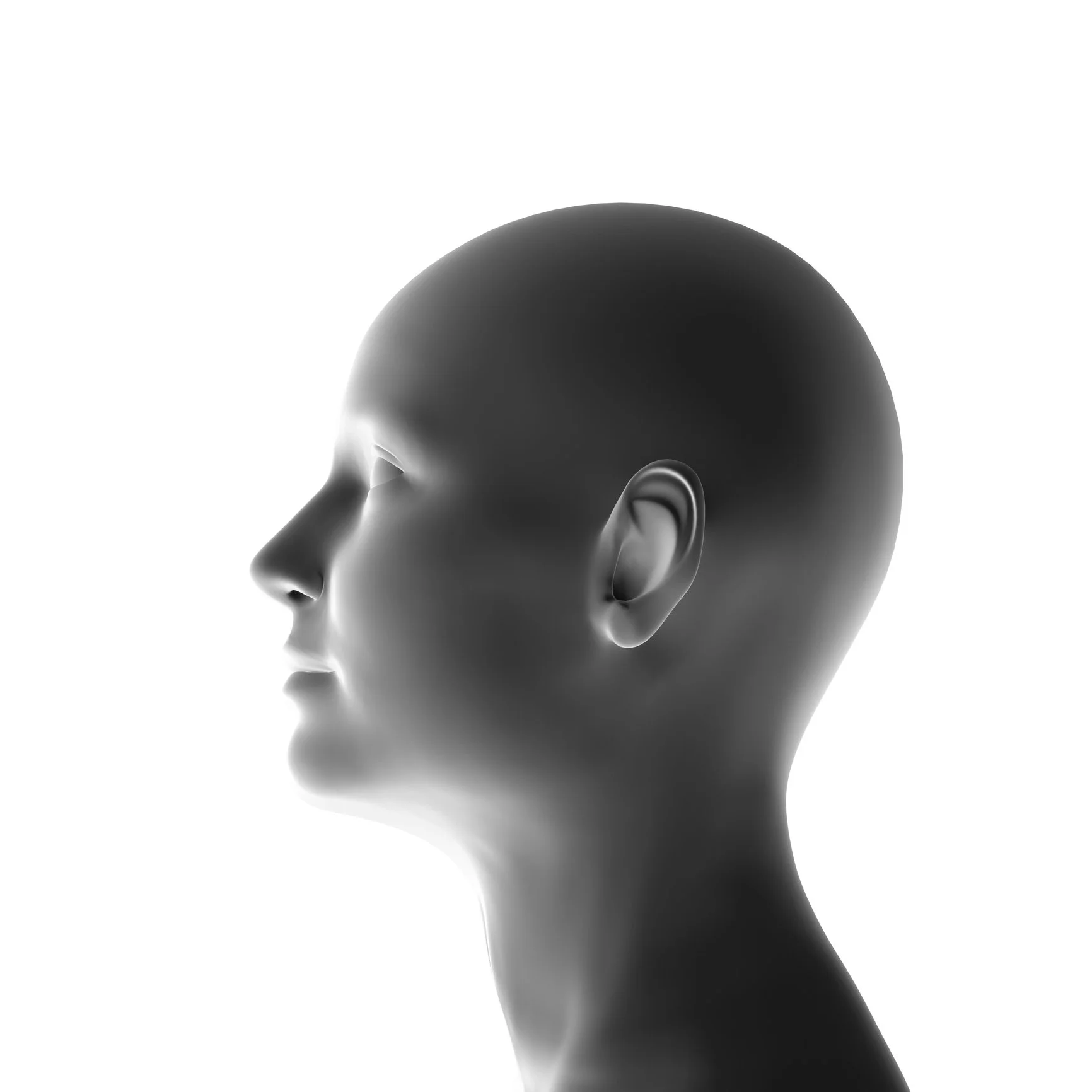 Side profile of a human mannequin head displaying forward head posture, or what is also known as text neck