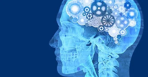 an image representing an engineers brain