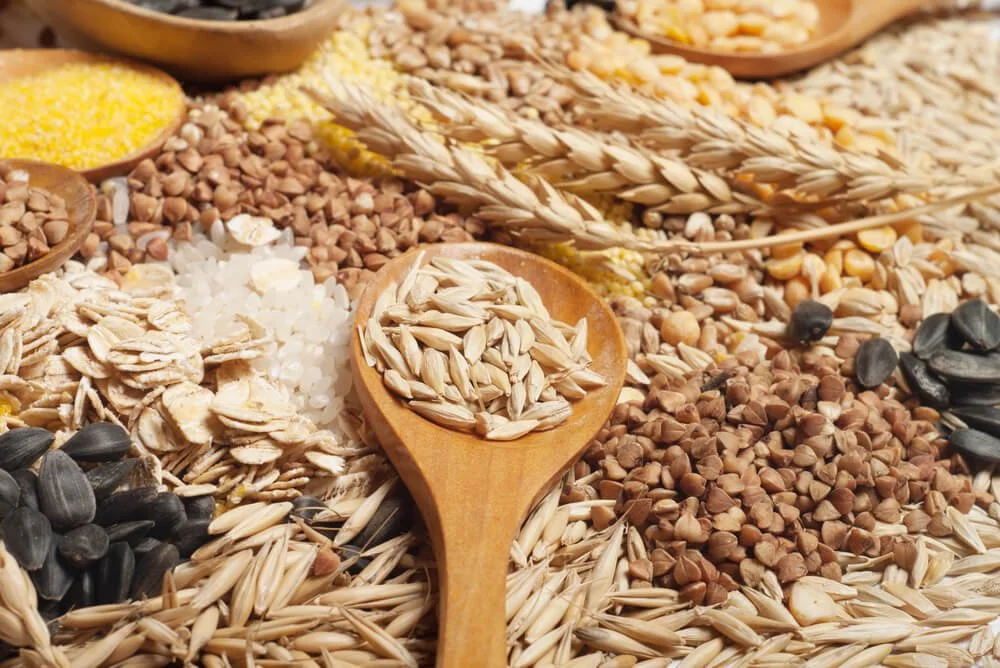 an image of different types of grains