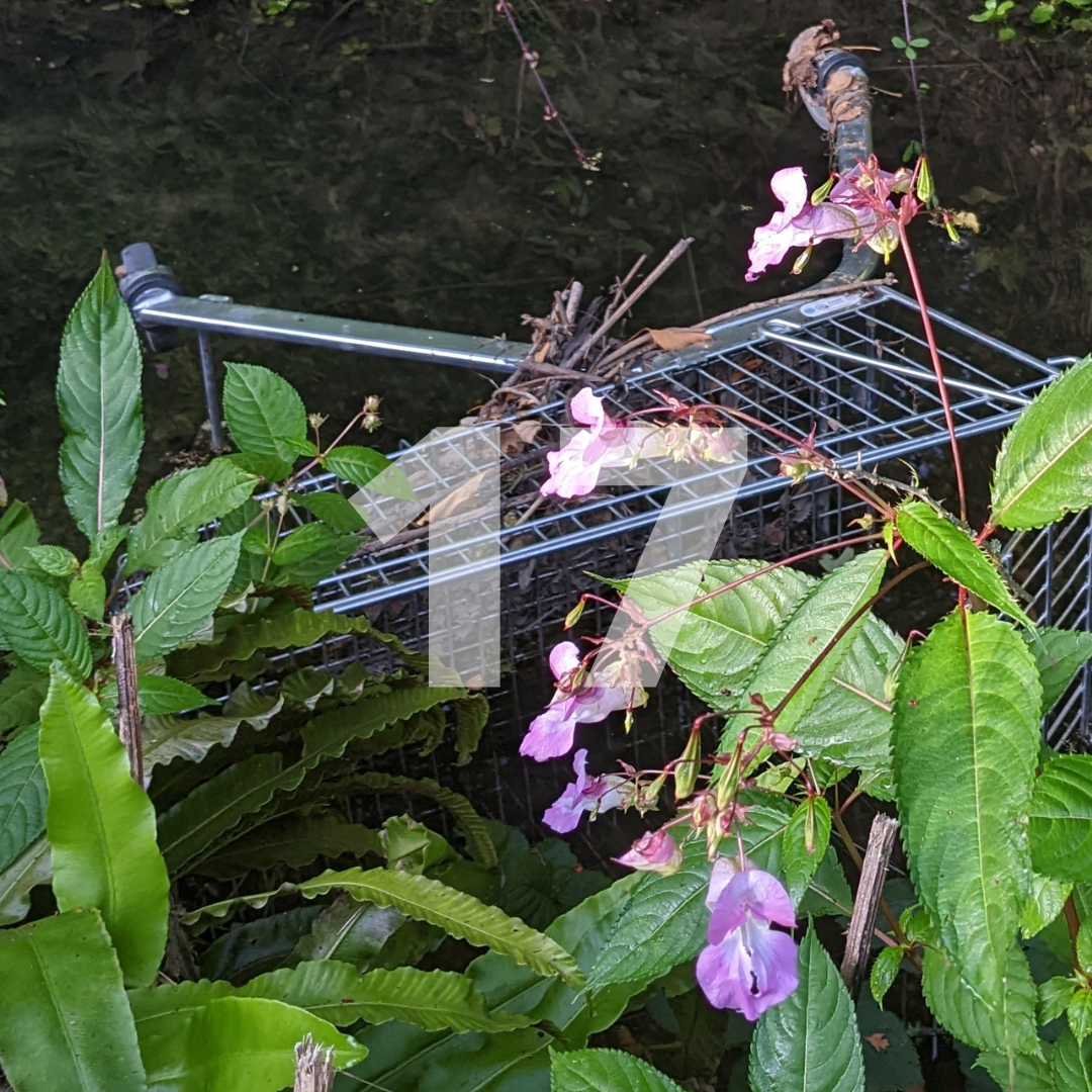 [𝐃𝐚𝐲 𝟏𝟕] 𝐏𝐨𝐫𝐭𝐡𝐨𝐥𝐞 𝗪𝐢𝐧𝐝𝐨𝐰𝐬 𝐚𝐧𝐝 𝐒𝐡𝐨𝐩𝐩𝐢𝐧𝐠 𝐓𝐫𝐨𝐥𝐥𝐞𝐲𝐬⁣