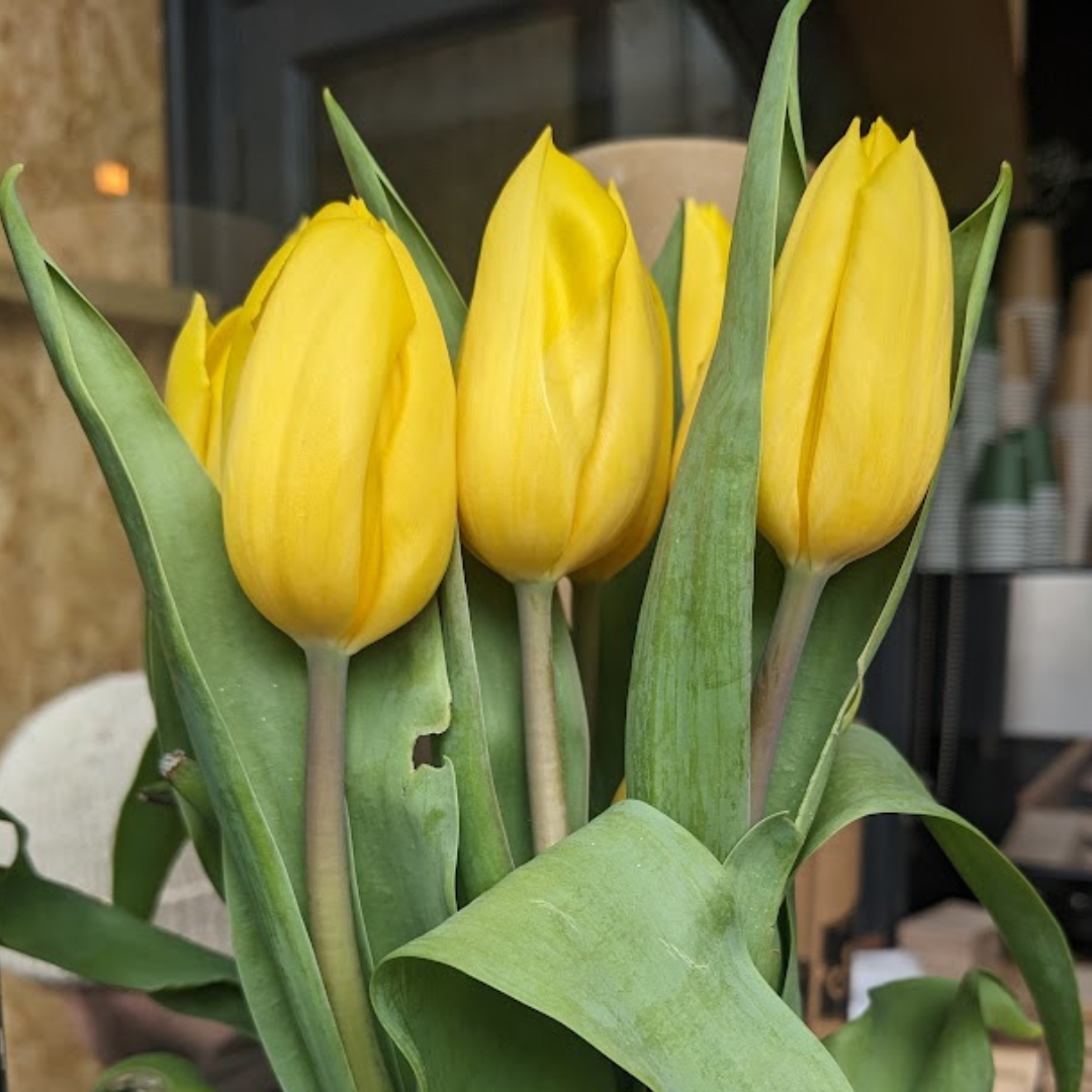 Hot Seat - Personal Statement Clinic for Aspiring Midwives