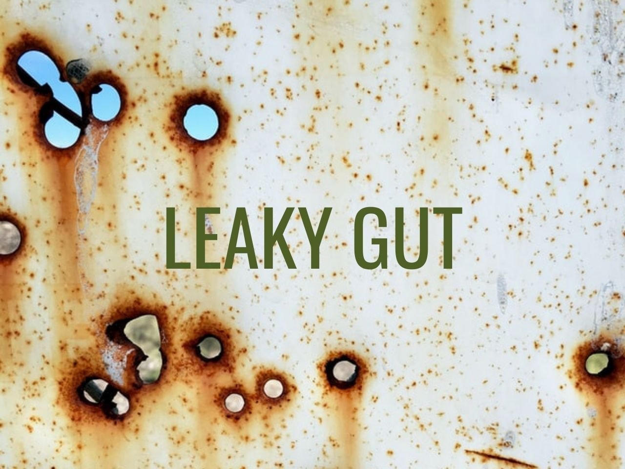 Leaky Gut. Wenn der Darm undicht wird.