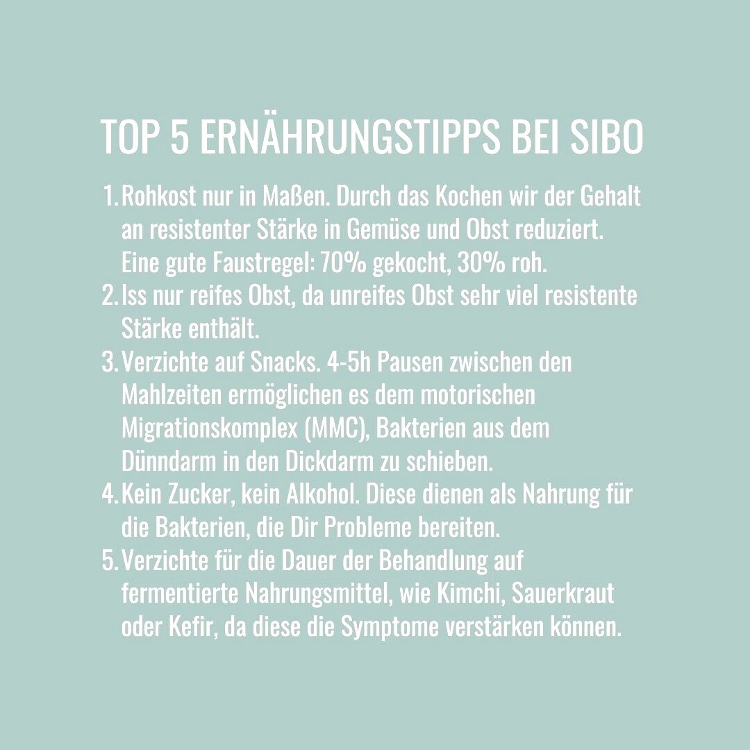 Ich lege gro&szlig;en Wert auf die Ern&auml;hrung w&auml;hrend einer SIBO Behandlung. Durch den Verzicht auf fermentierbare Kohlenhydrate lassen sich die Symptome bereits deutlich lindern.⁠
⁠
Konkret hei&szlig;t das, dass Du auf die Kohlenhydrate ver