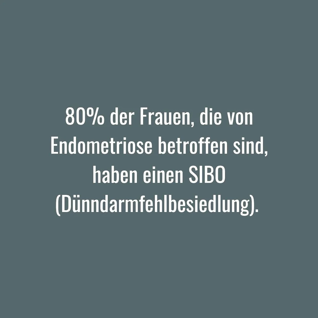 SIBO steht f&uuml;r small intestine bacterial overgrowth, bzw. D&uuml;nndarmfehlbesiedlung. ⁠
SIBO liegt vor, wenn Bakterien, die normalerweise im Dickdarm leben, den D&uuml;nndarm &uuml;berwuchern. Dieser Zustand f&uuml;hrt dann zu mehreren Probleme