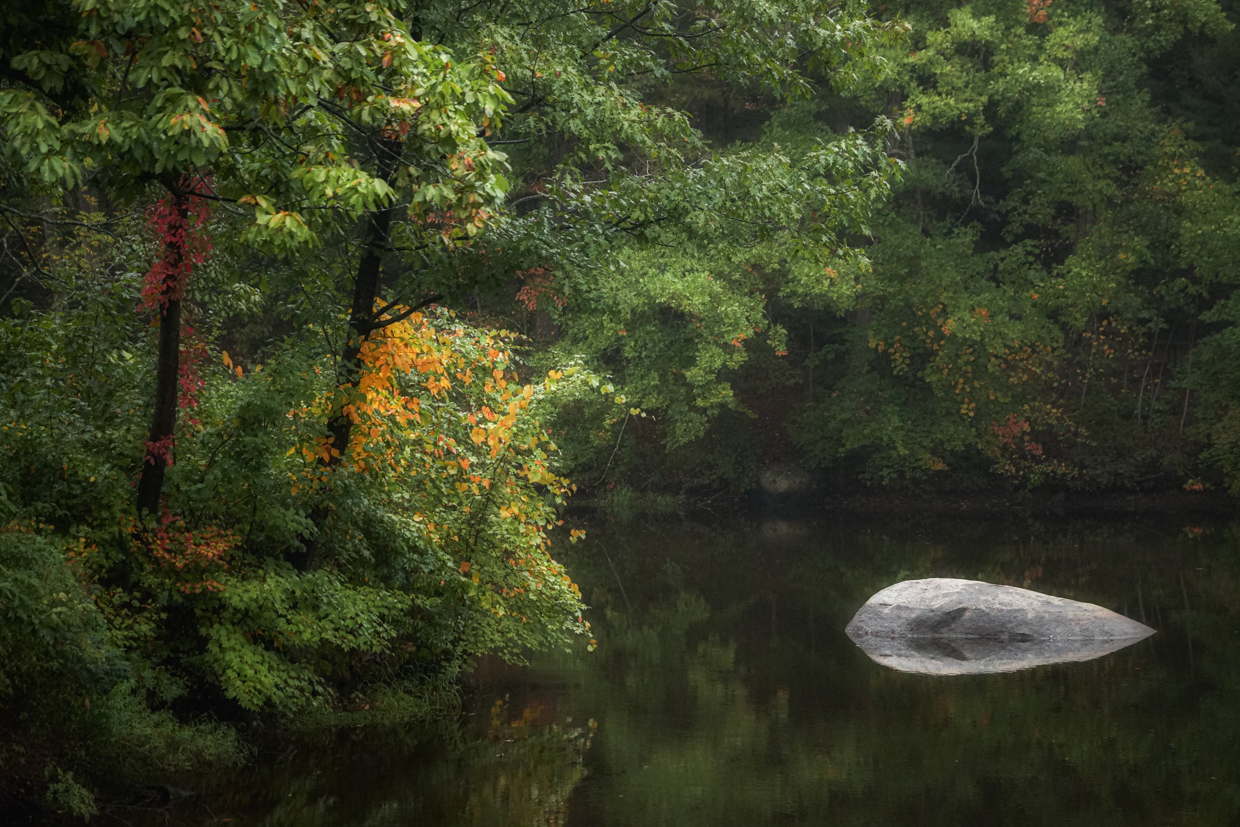 Photography, Inspired by Painting