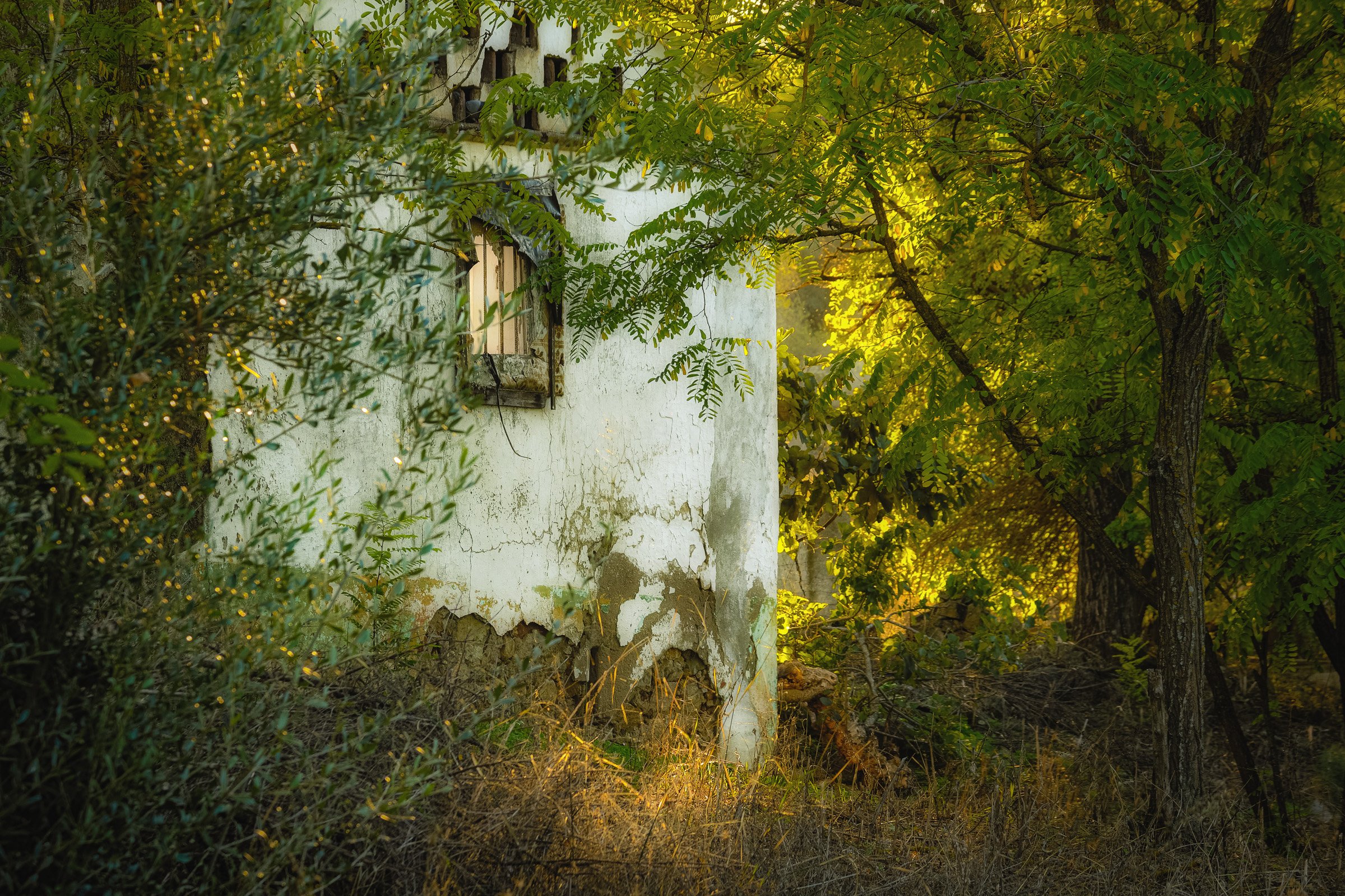 Photography and Imperfection