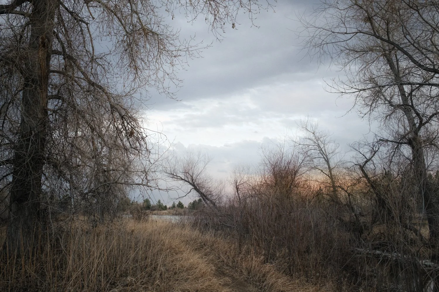 Quiet Photography, The Gift of Silence