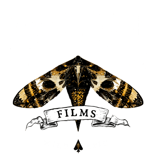 Callenes Films - Vidéaste Mariage