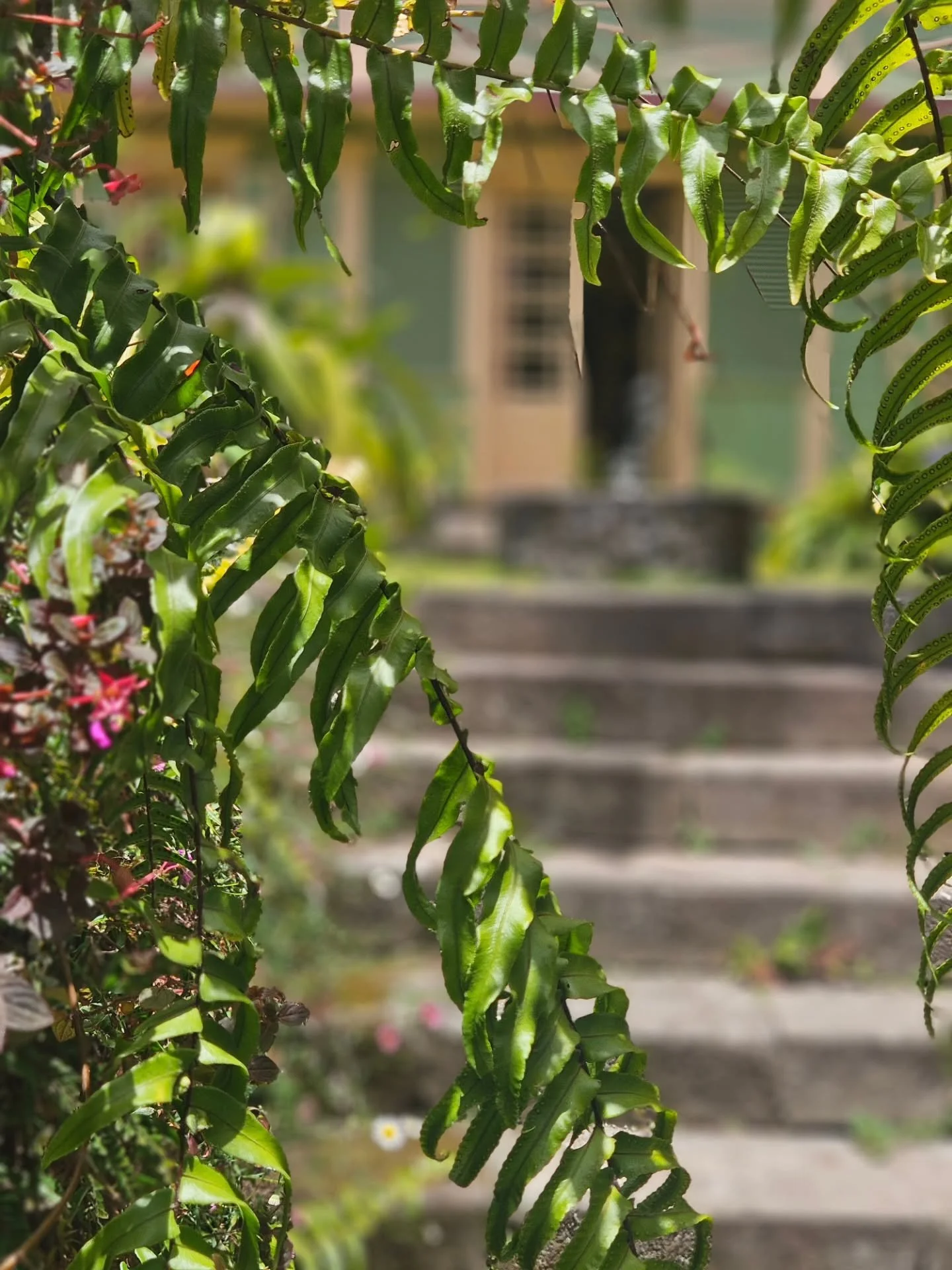 Un peu de nous...👨&zwj;👩&zwj;👧&zwj;👦

Apr&egrave;s une belle saison des mariages et il faut l'avouer des journ&eacute;es &agrave; nous croiser, il &eacute;tait temps de prendre un vrai moment pour nous retrouver tous les 4. 

Nous nous sommes env