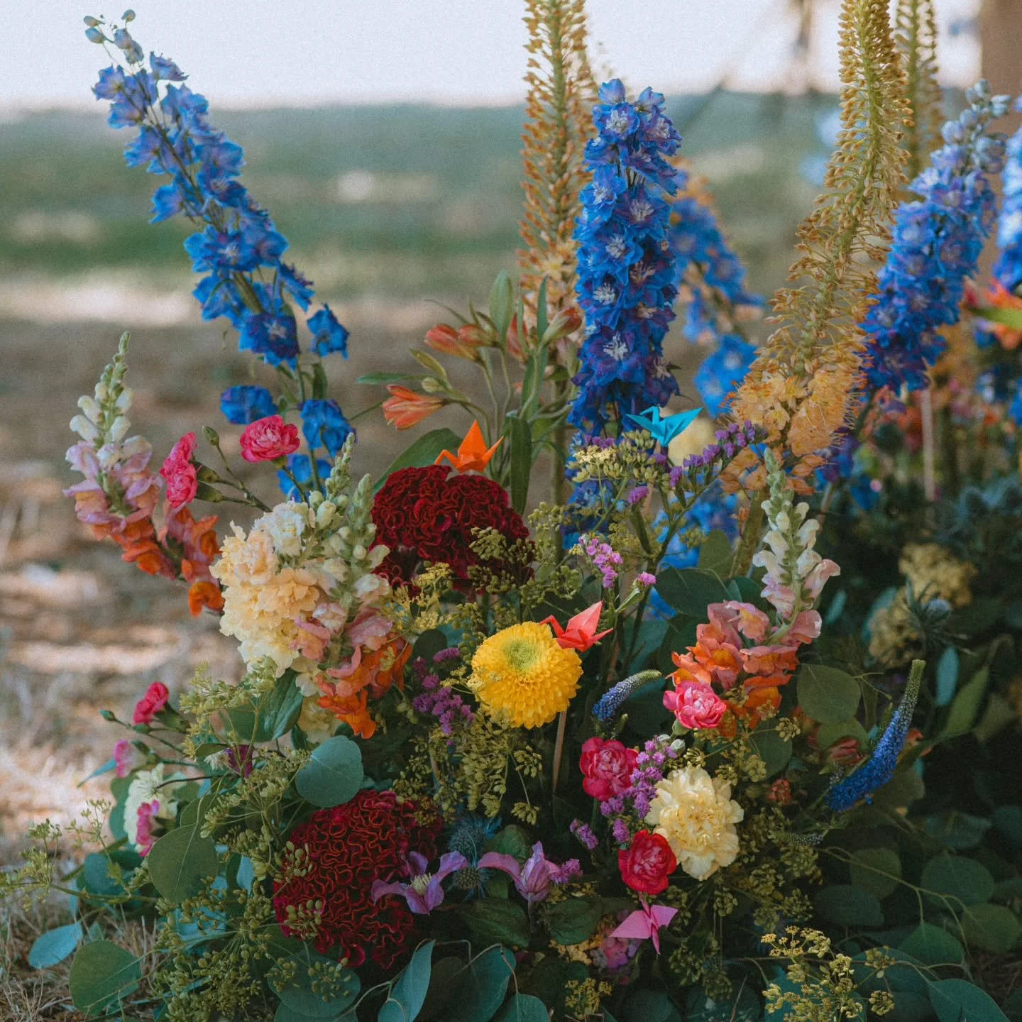 Retour sur le joli-jour de Charl&egrave;ne et Cl&eacute;ment sous une chaude journ&eacute;e de juin 2025. 🧡💛🩷💙

Dans un premier temps voici les photos de la c&eacute;r&eacute;monie la&iuml;que de ce mariage color&eacute; au @chateaudelabarbiniere