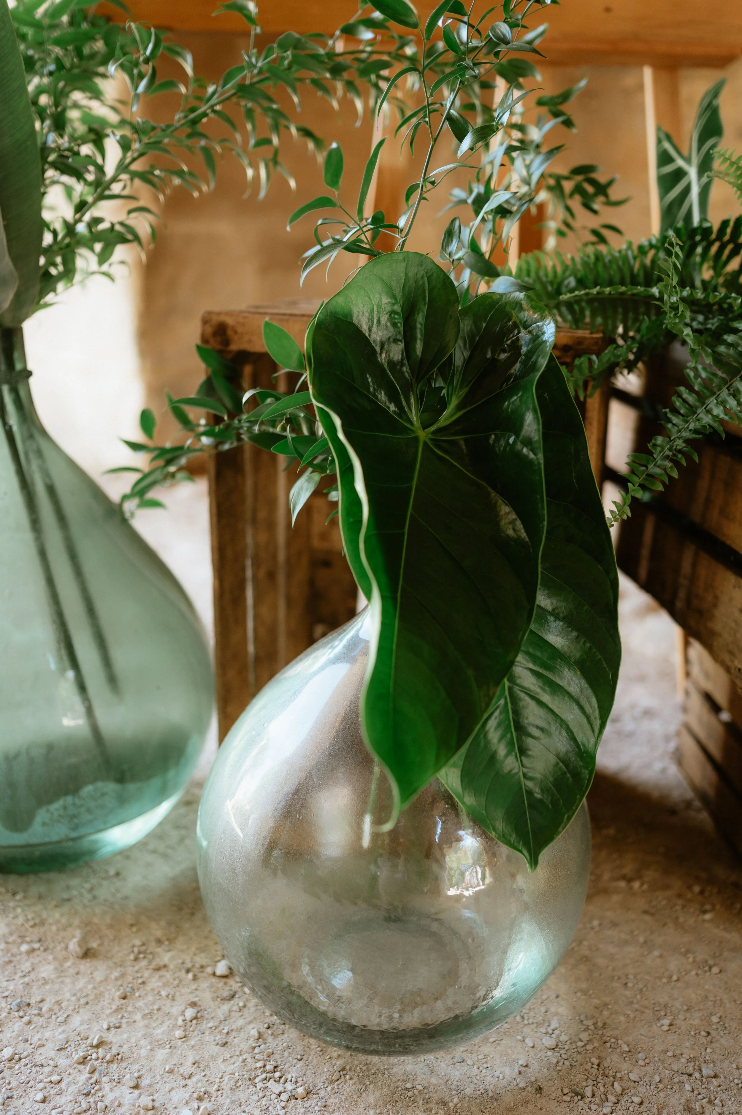 20250906 Chloé-Hugo - MarHD-14.jpg