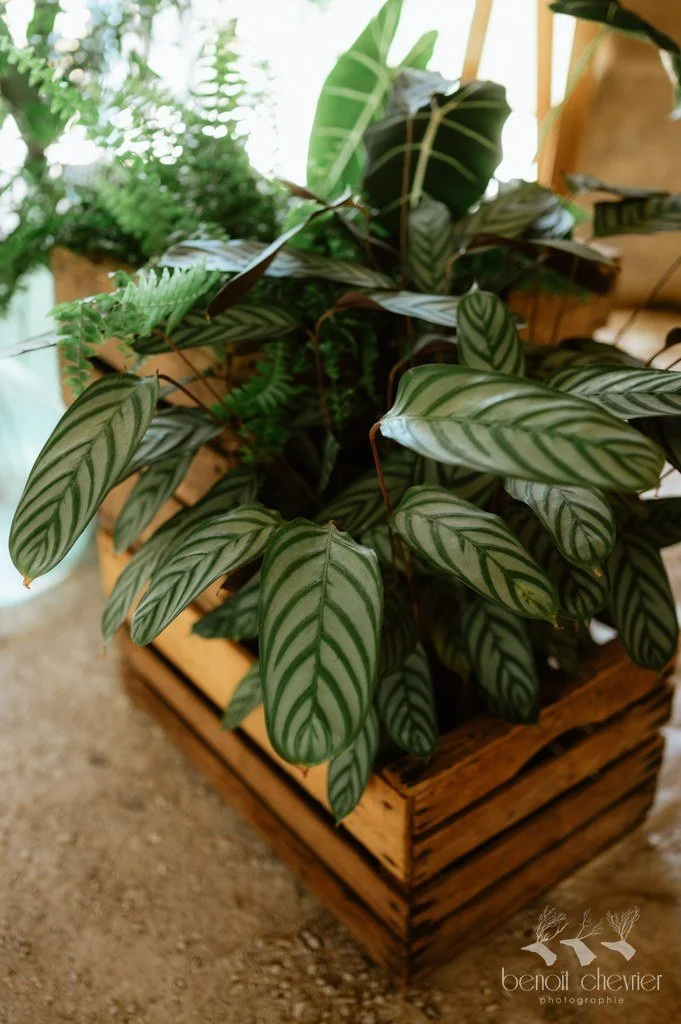 20250906 Chloé-Hugo - MarHD-15.jpg