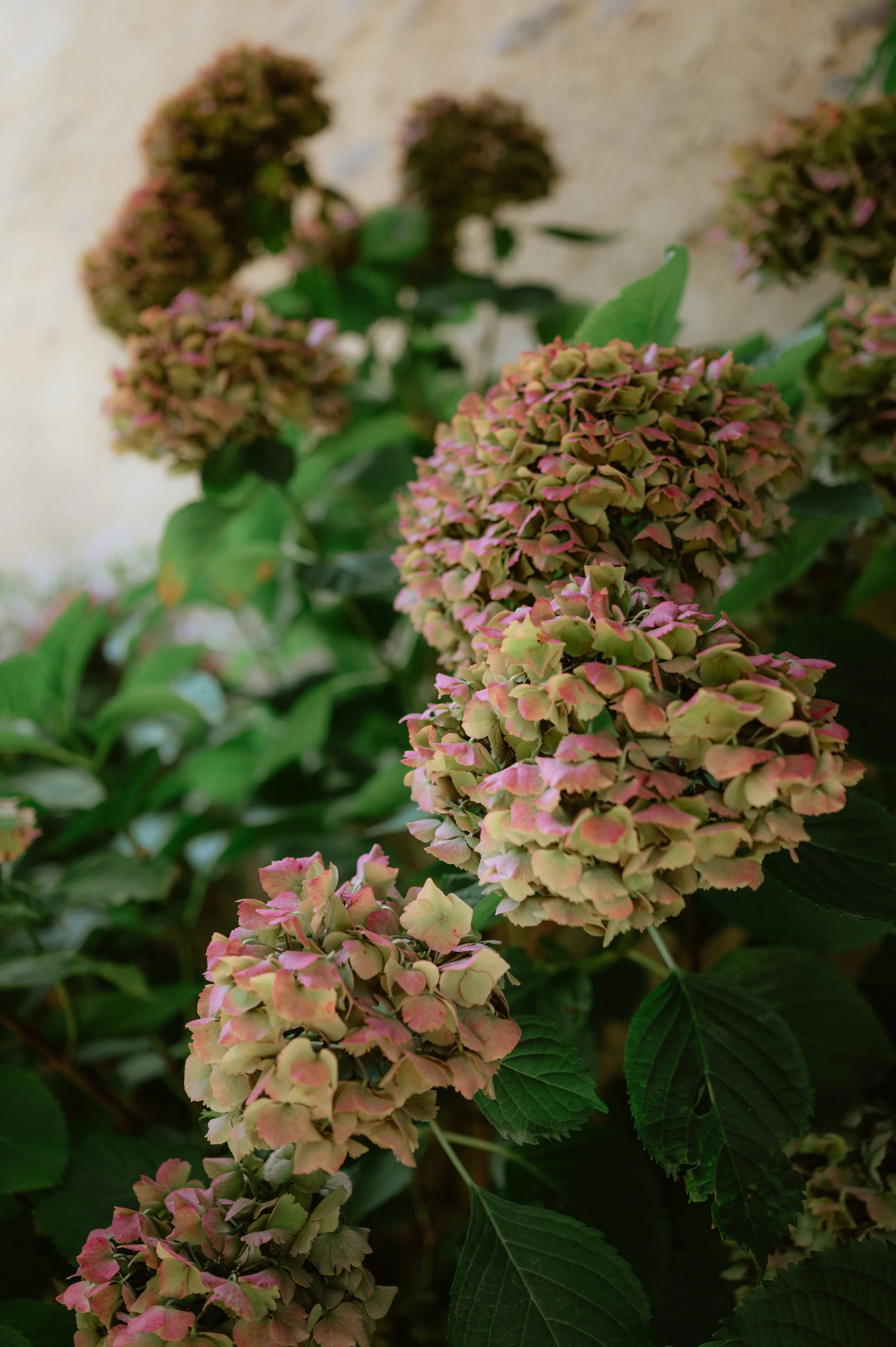 20250906 Chloé-Hugo - MarHD-35.jpg