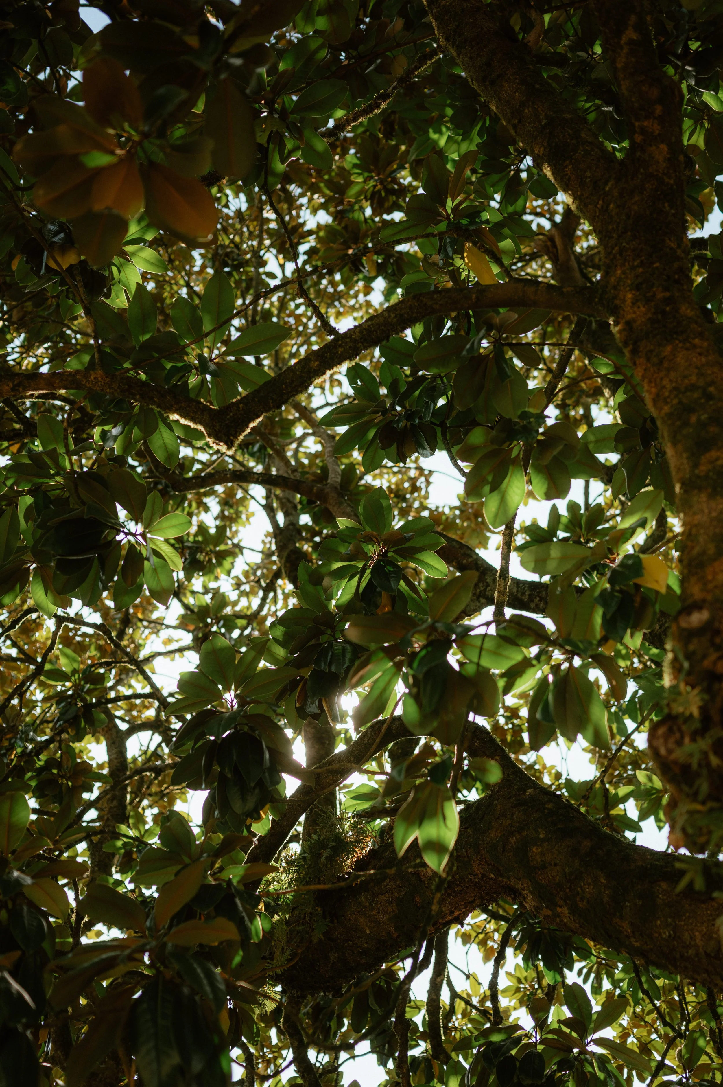 20250906 Chloé-Hugo - MarHD-274.jpg