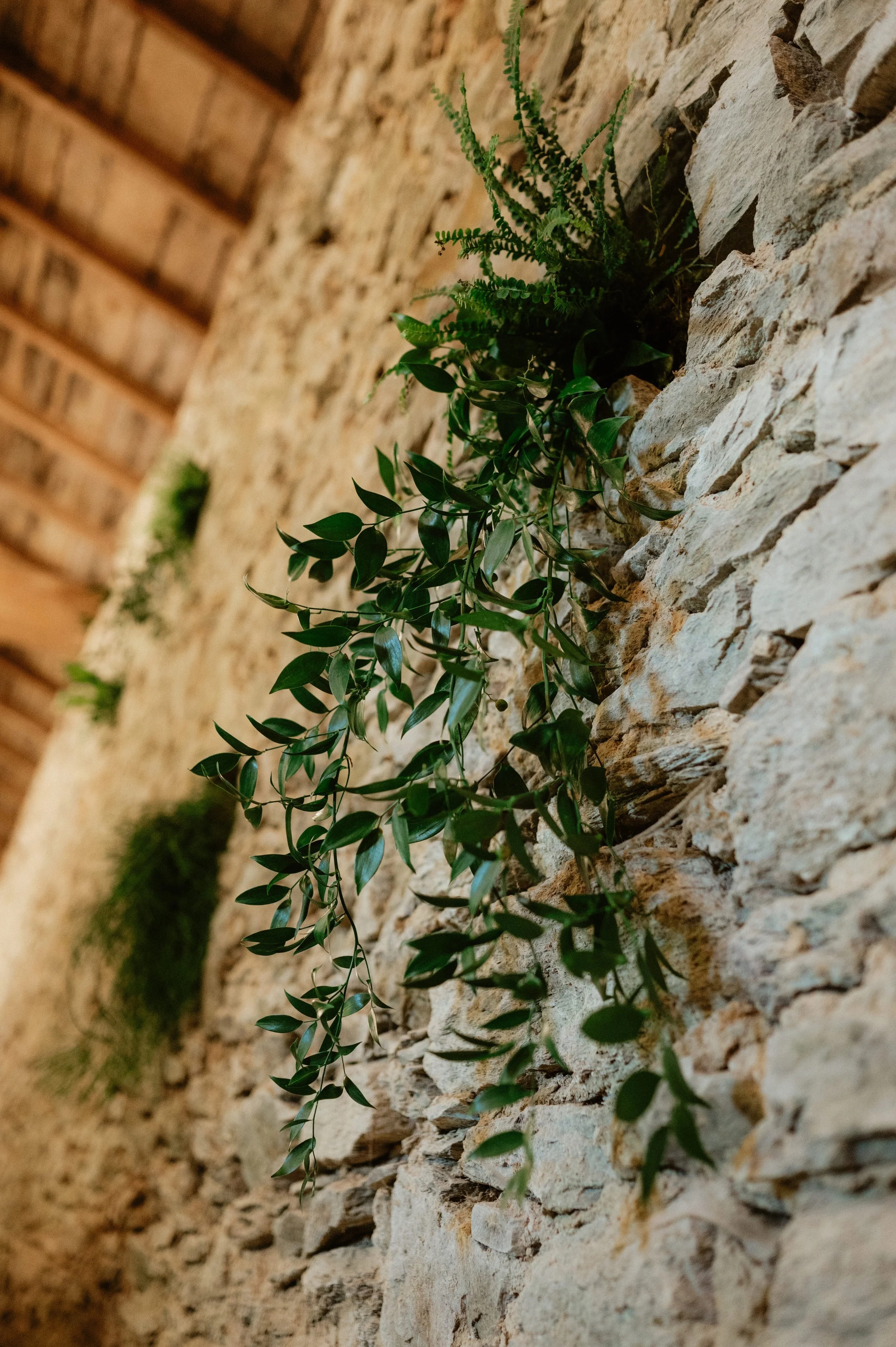 20250906 Chloé-Hugo - MarHD-737.jpg