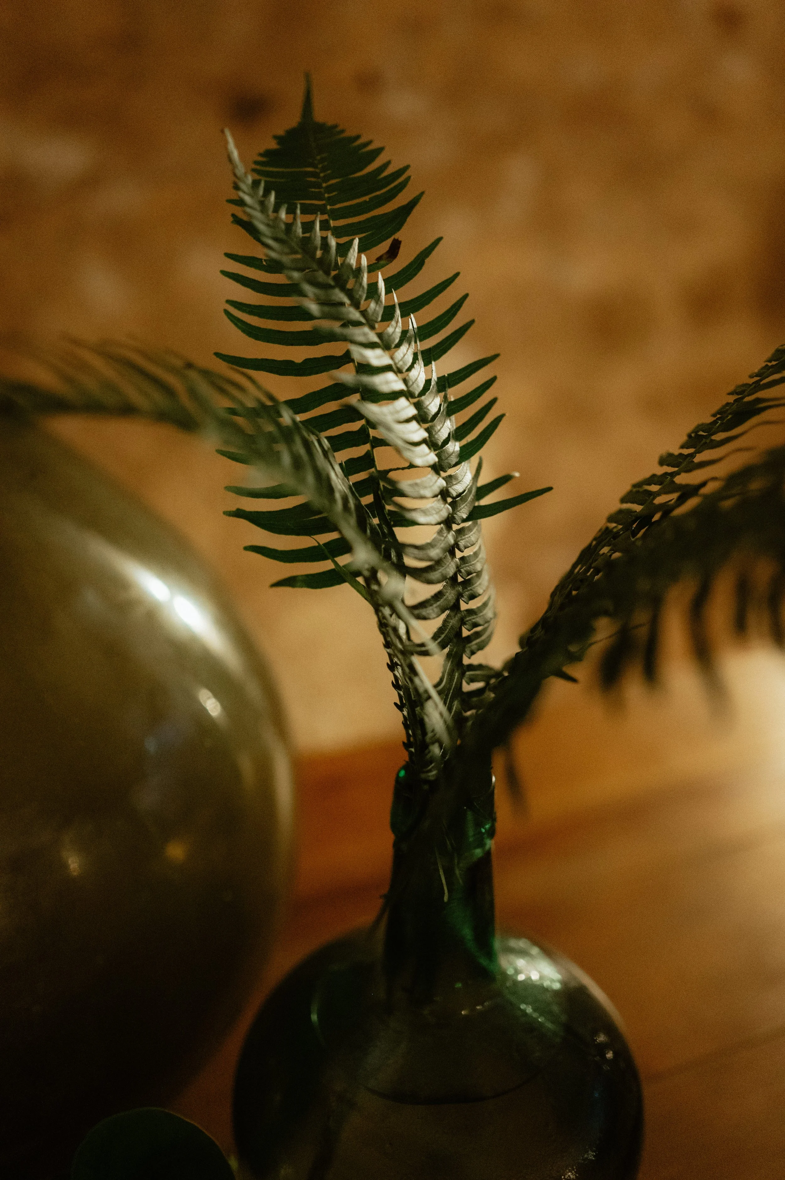 20250906 Chloé-Hugo - MarHD-865.jpg