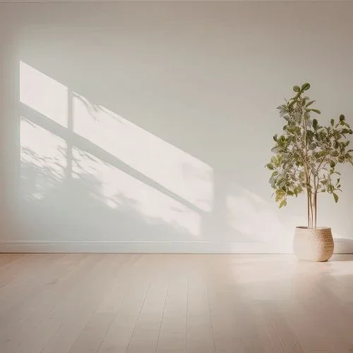 Empty sunlight room to illustrate grief and loss