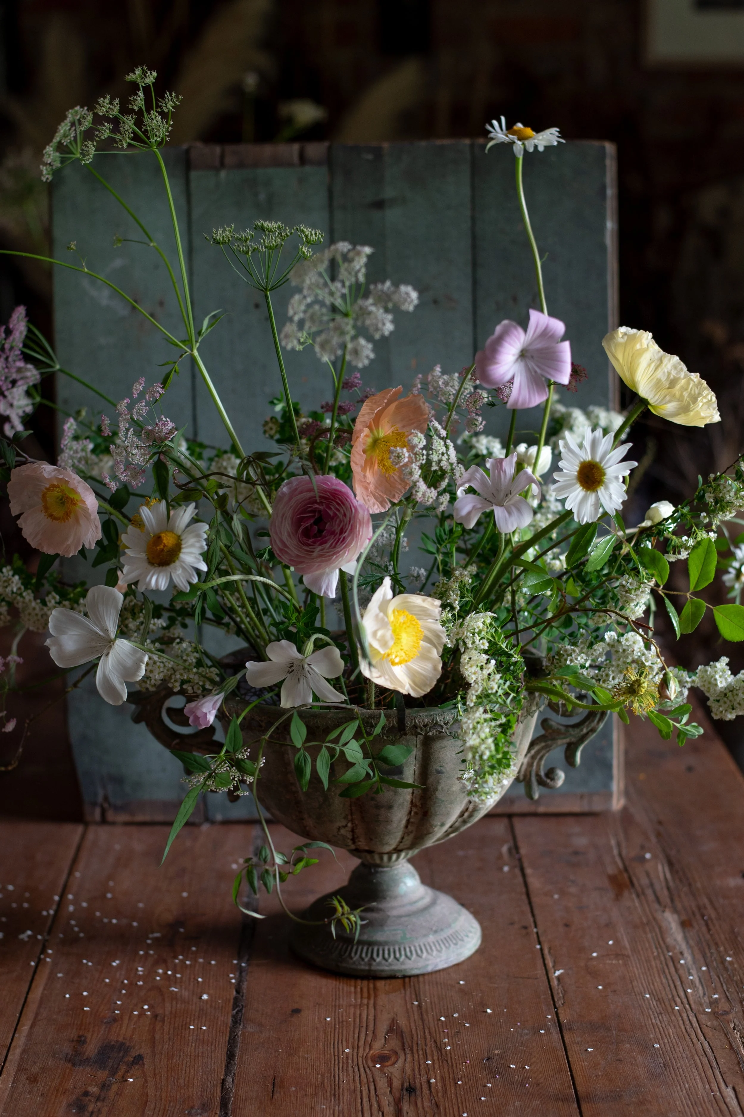 Website gallery 2.JPG