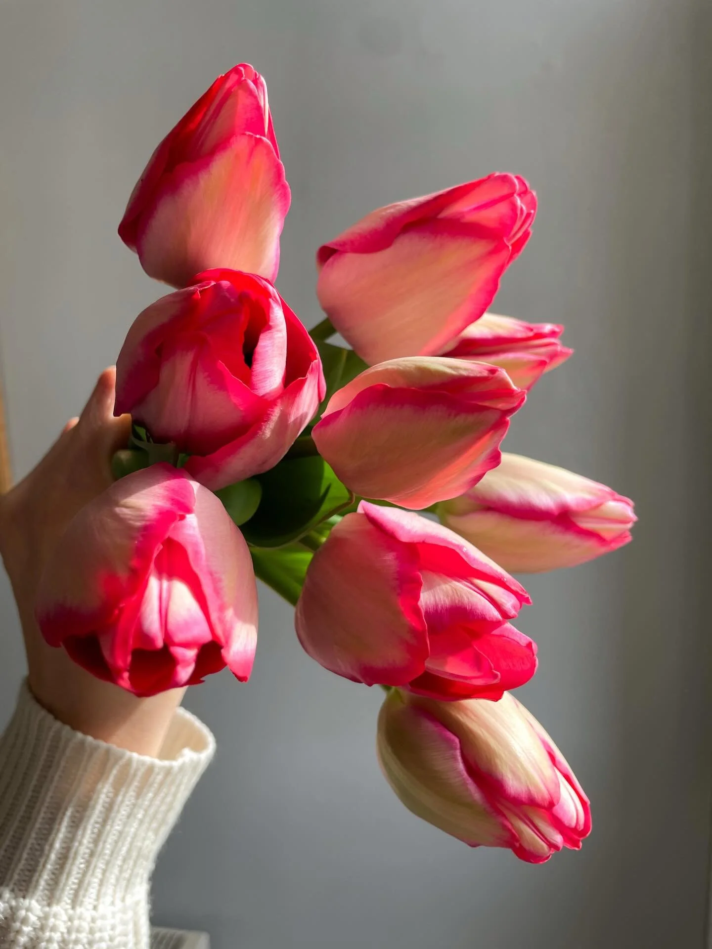 All selection of homegrown gorgeousness from last spring, just to pep us up through the rain! We&rsquo;ll get there ❤️ I&rsquo;ll be back with floristry for delivery in March if you&rsquo;d love a bit of garden gathered for your own home. It will be 