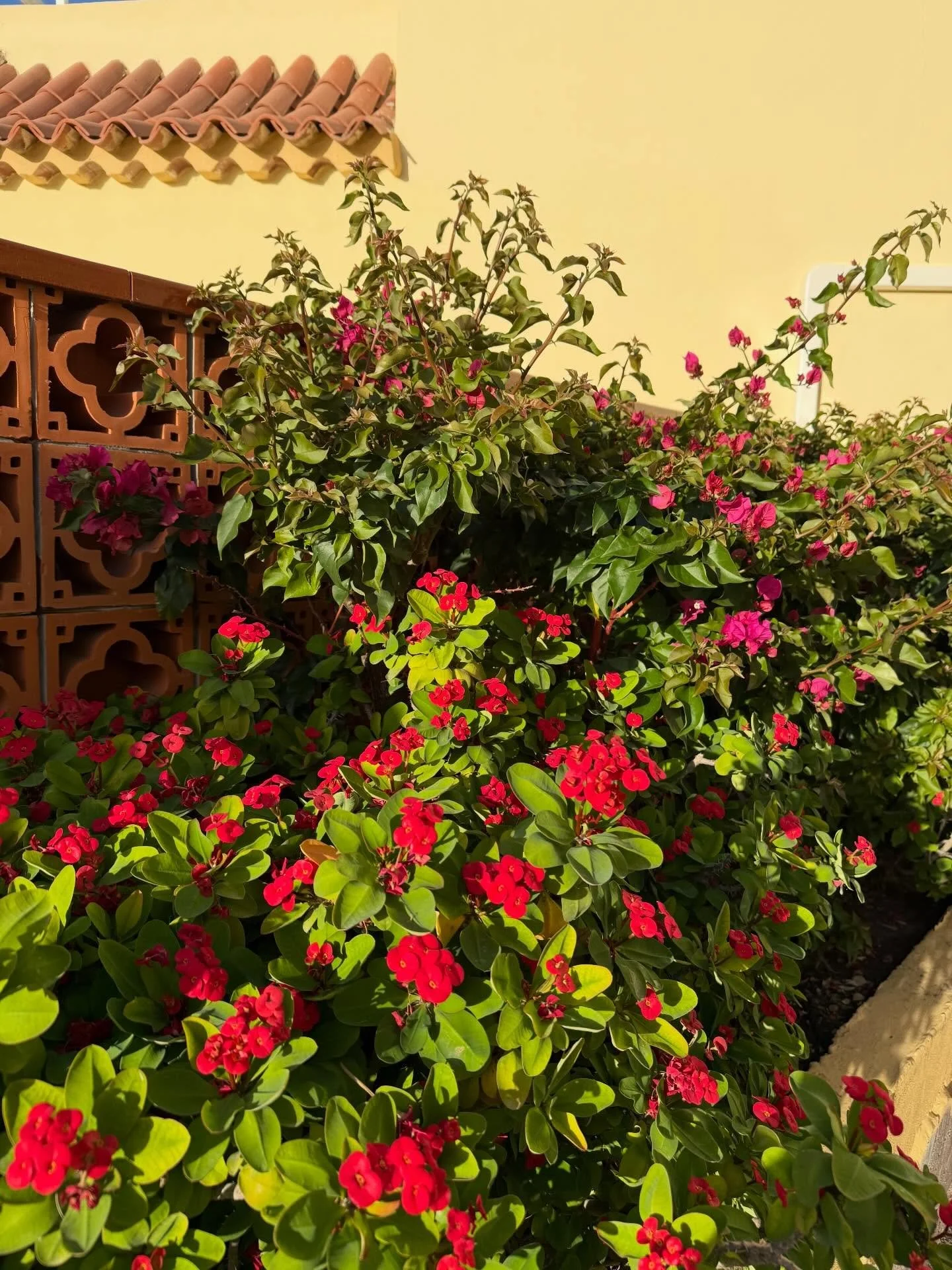 A little January round up because it already feels like decades ago but I did actually see sunshine for a little bit (albeit not in the UK 😉) There&rsquo;s been PLENTY of grey sky but it&rsquo;s been.. cosy I think? And I&rsquo;m really into pancake