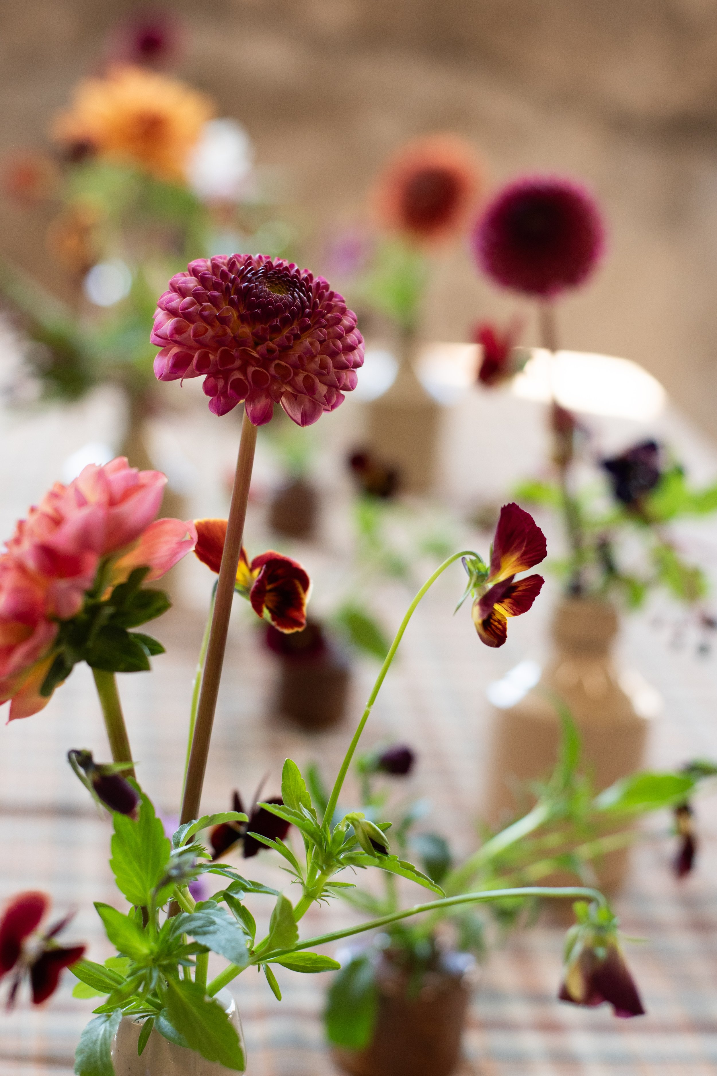 Website gallery 6.JPG