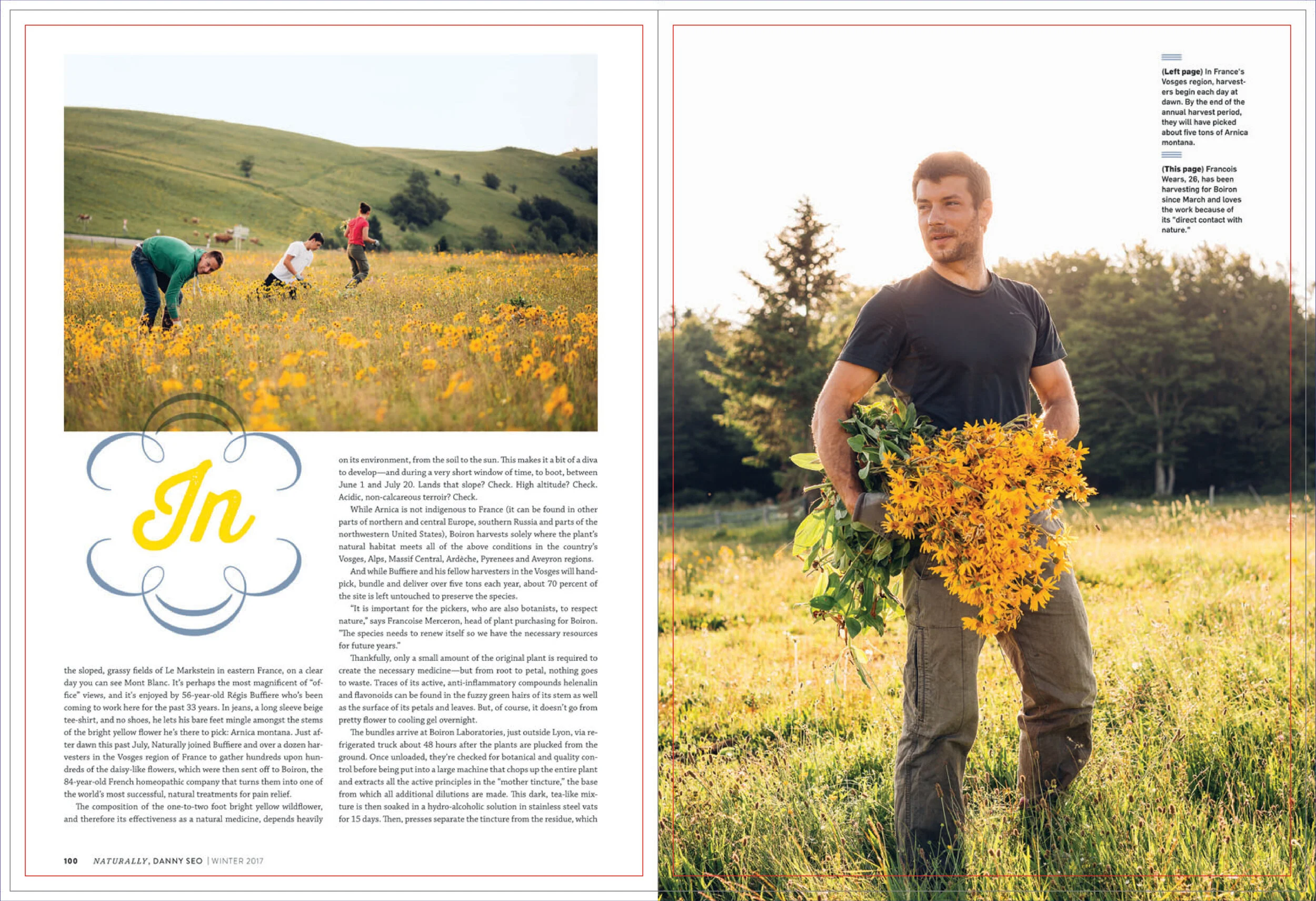 Arnica_Naturally-2.jpg