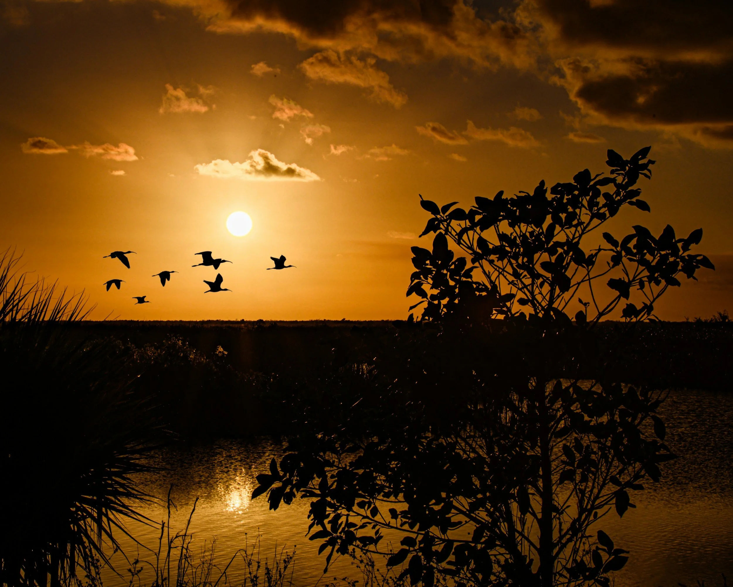 Waarom doen wat je blij maakt geen luxe is, maar leiderschap 