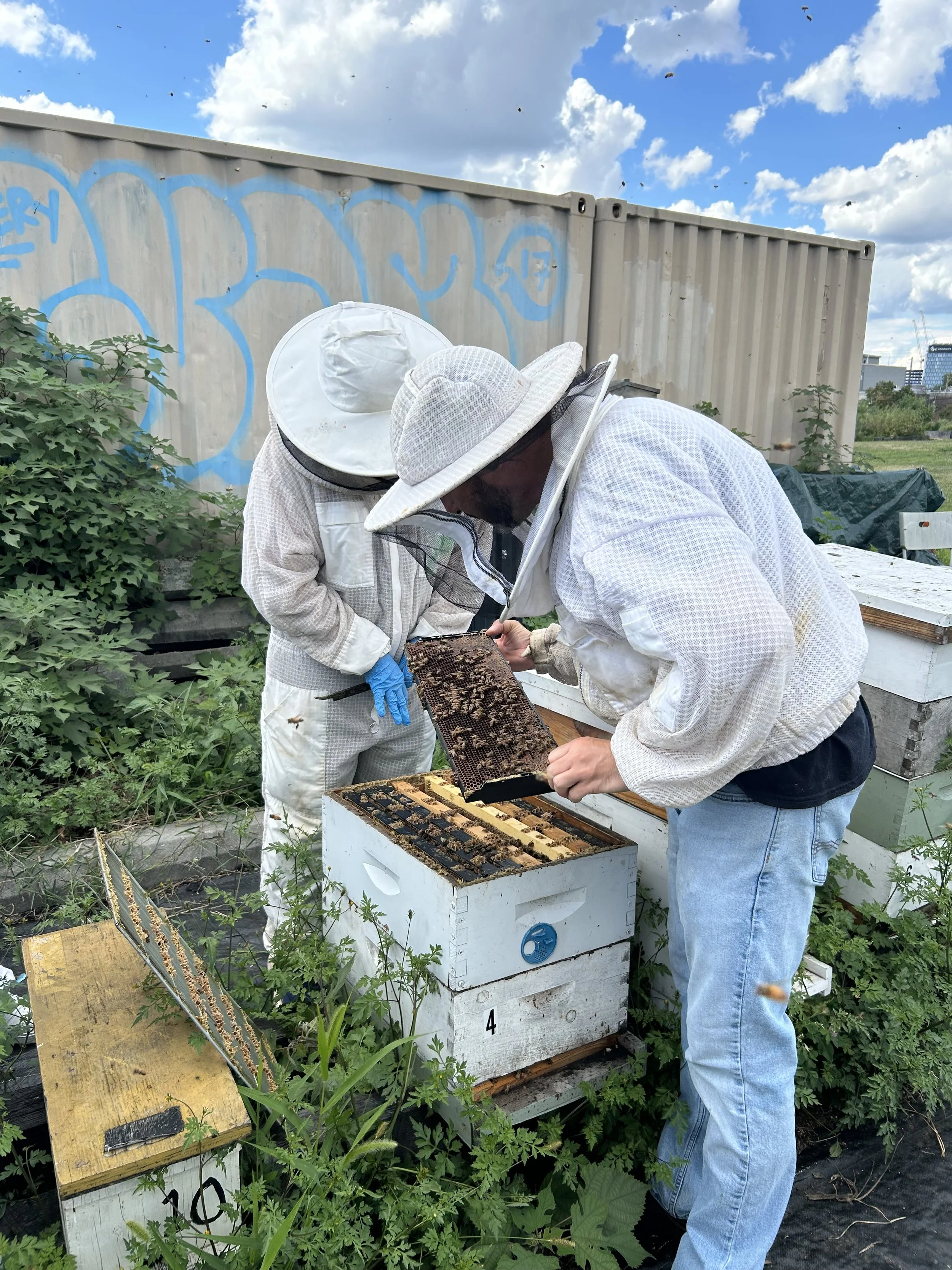 Monitoring the different comb layers