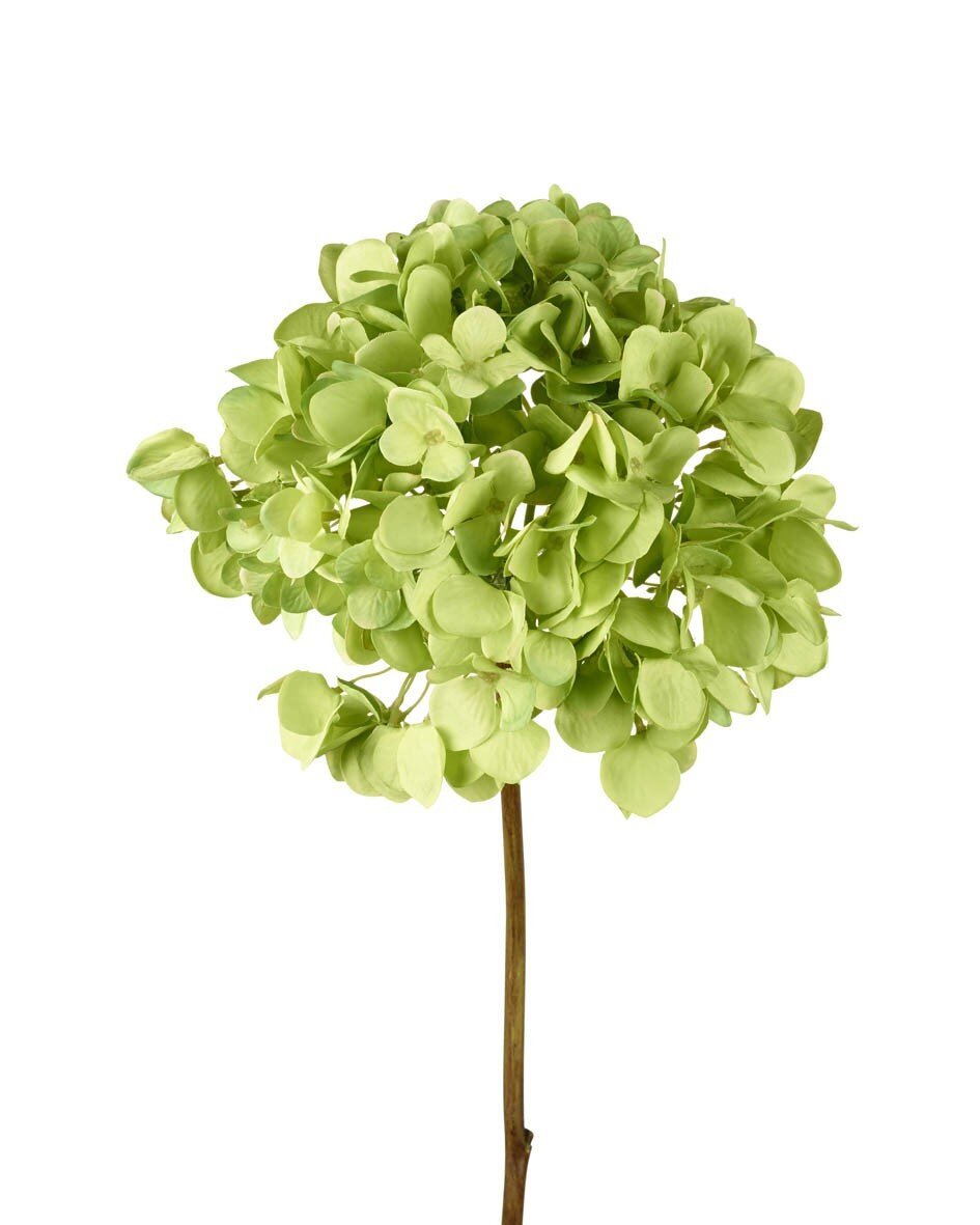 green-hydrangea-stem-faux.jpg