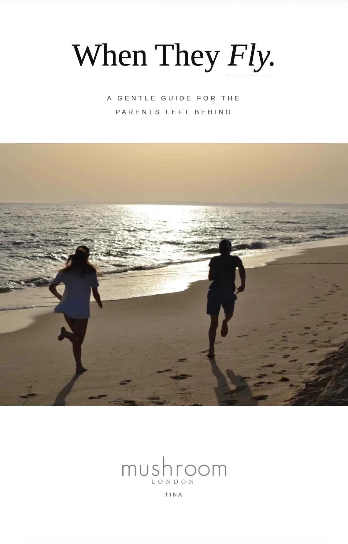 Two young adults running down a beach at sunset. Cover of When They Fly, an empty nest guide for parents.