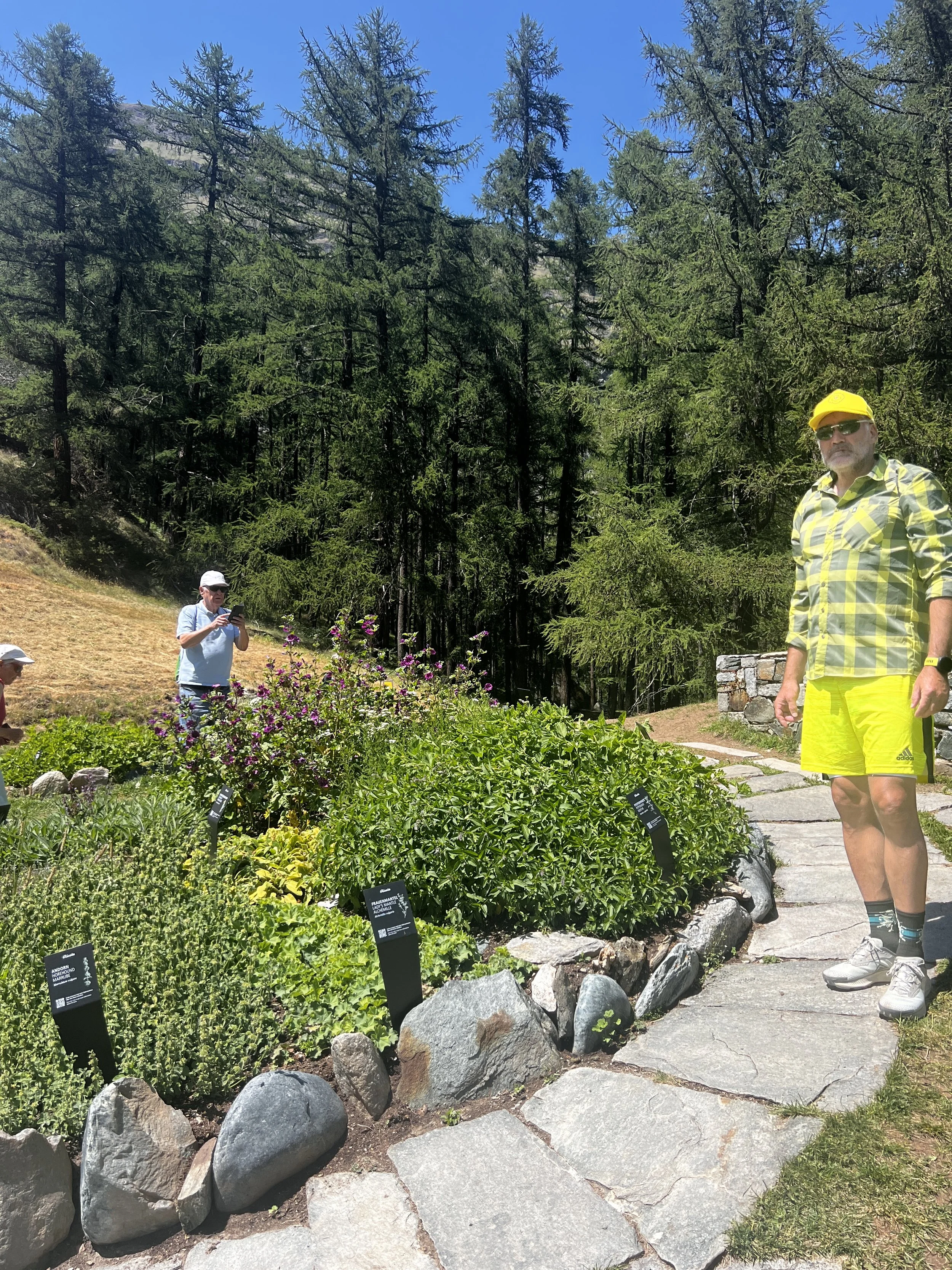 ricola-garden.JPG