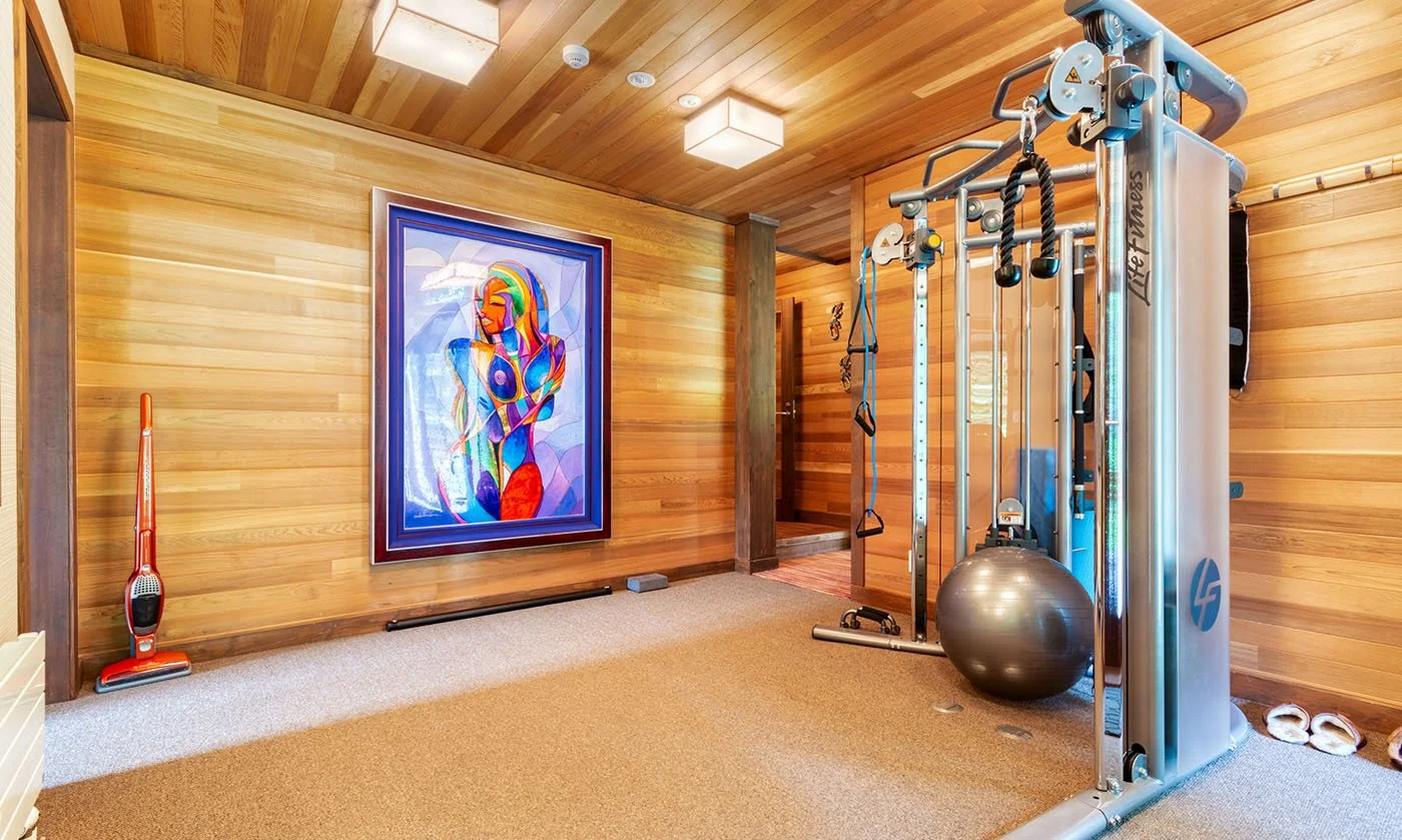 niseko-chalet-private-home-gym.jpeg
