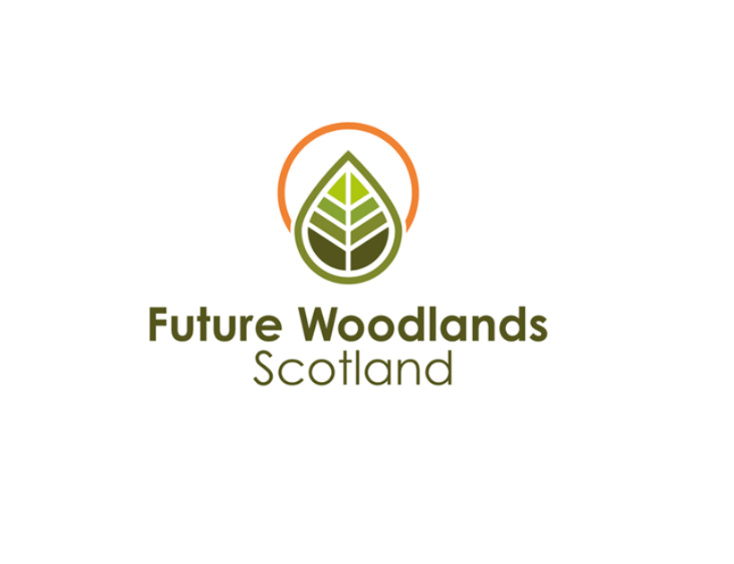 Screenshot 2024-06-06 164449.png