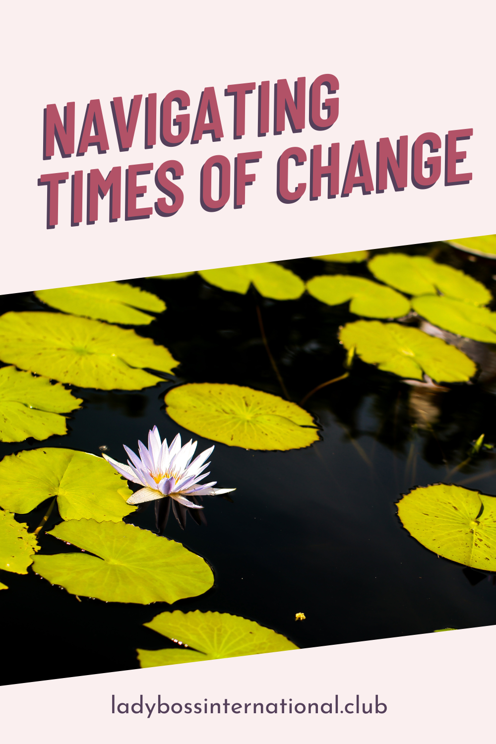 Navigating Times of Change .png