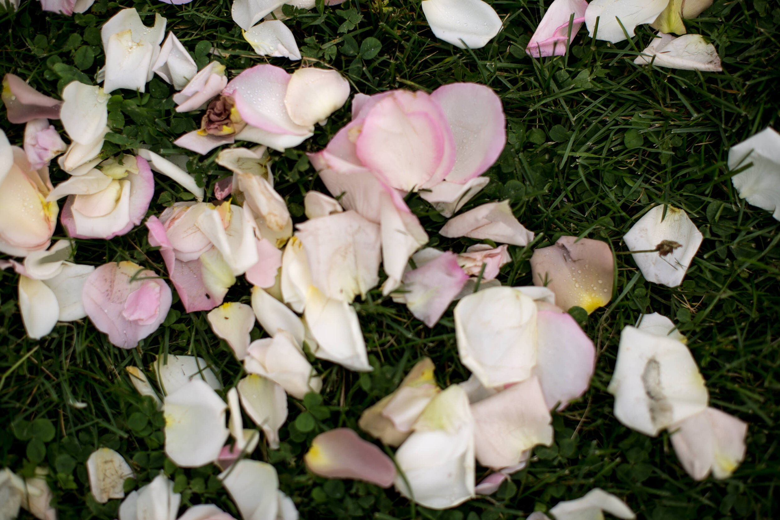 Becca + Jeff by Rose Photo Sept 9 -226.jpg