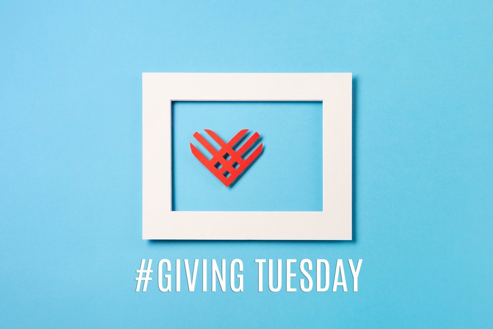 How to Make Giving Tuesday Profitable