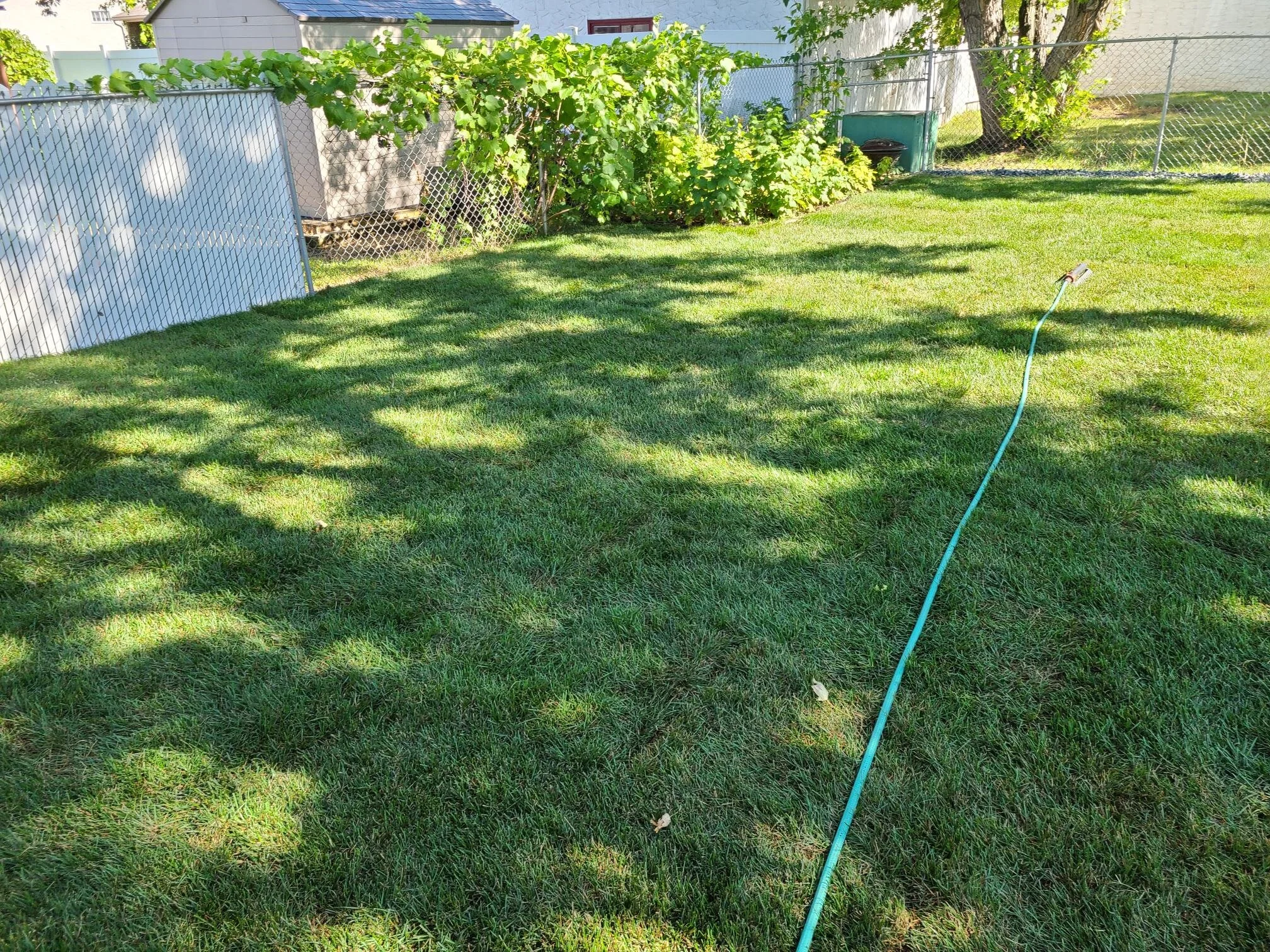 Soil and Sod Gallery — Landscaping Winnipeg