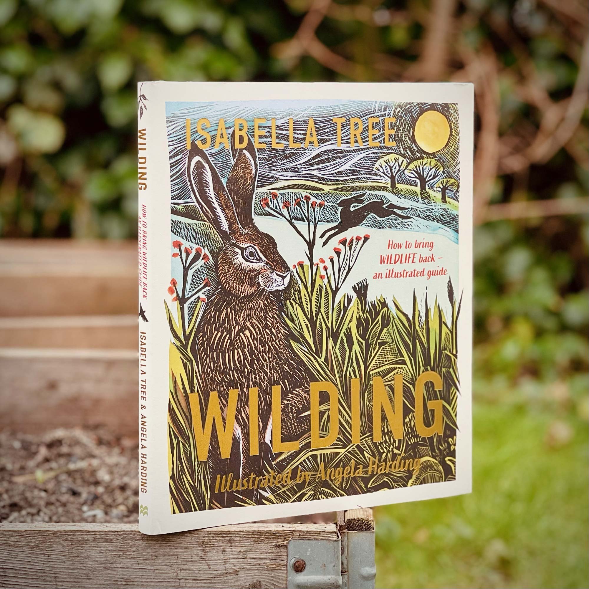 Angela-Harding-Wilding.jpg