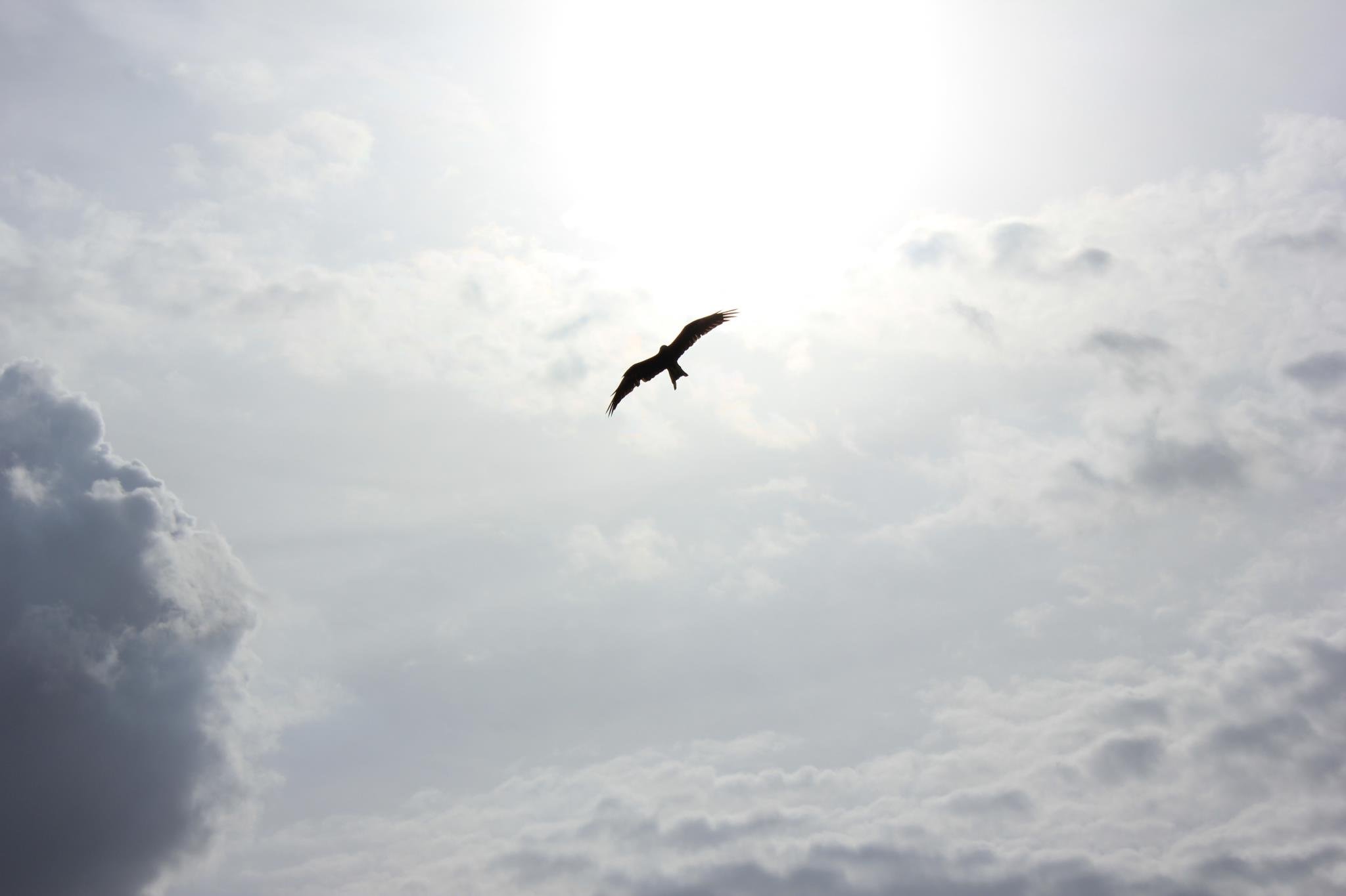 Hanging on to Hope